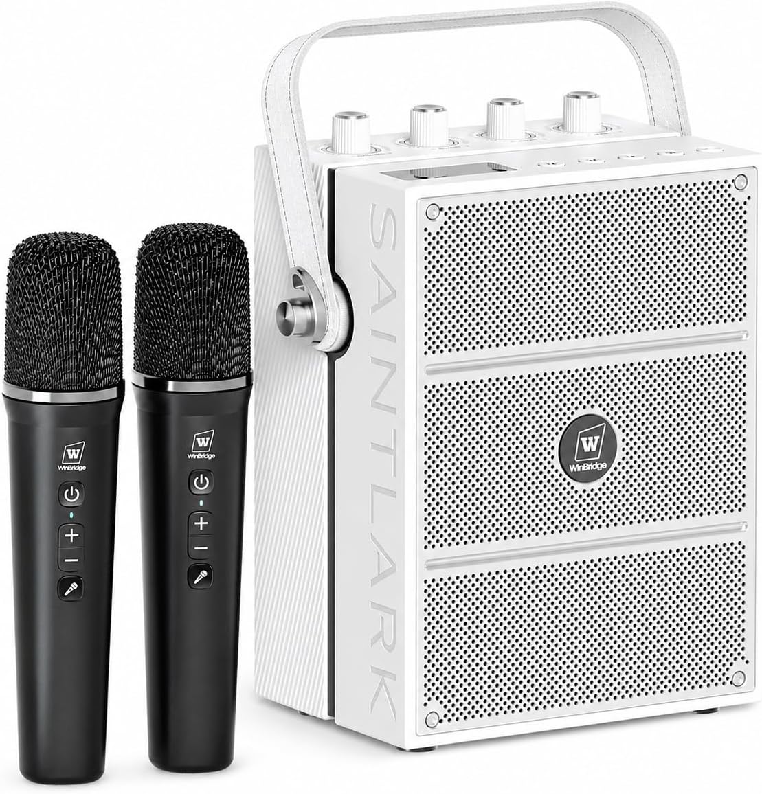 Amplificador de voz inalámbrico de 100 W, altavoz Bluetooth fuerte...