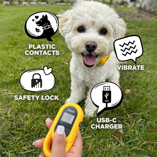 Dogtra CUE Amarillo \u2013 Collar electrónico para perros con contr...