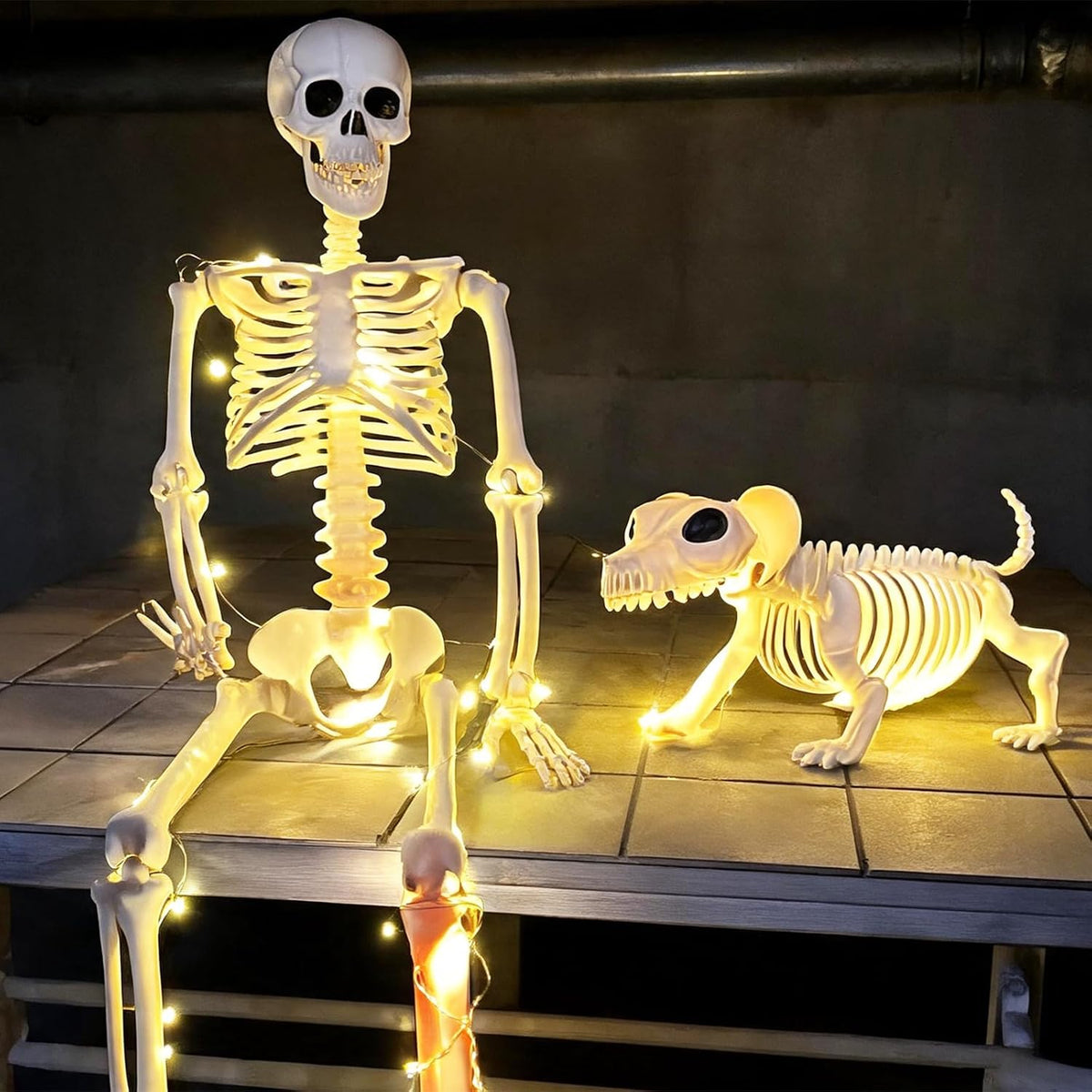 Decoraciones iluminadas de Halloween de esqueleto humano y perro pa...