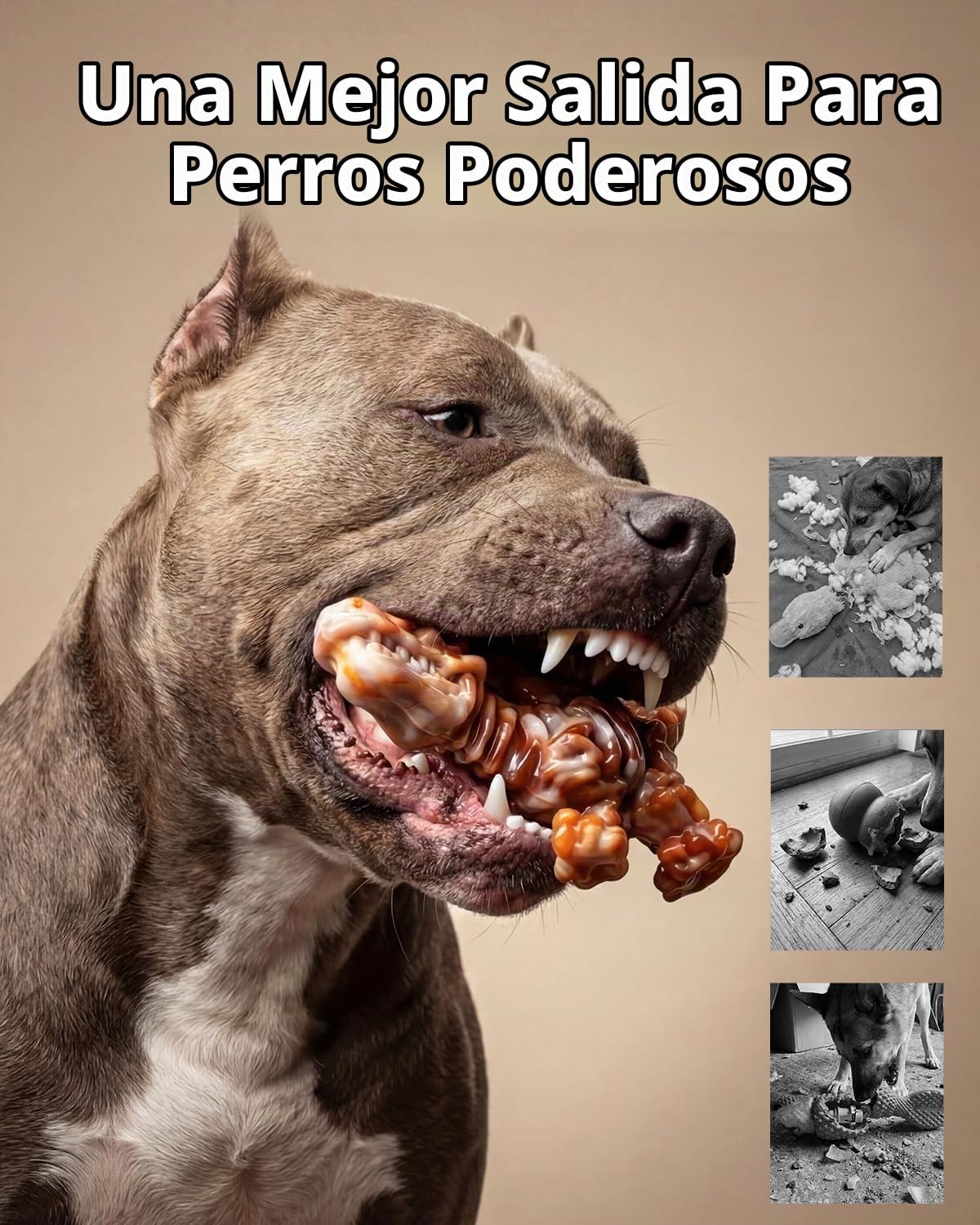 ChienBox Juguetes para Perros para Masticadores Agresivos: Paquete...