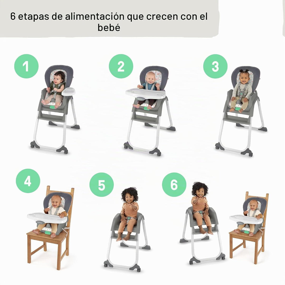 Ingenuity Full Course - Silla alta 6 en 1, bebé a 5 años, 6 modos c...