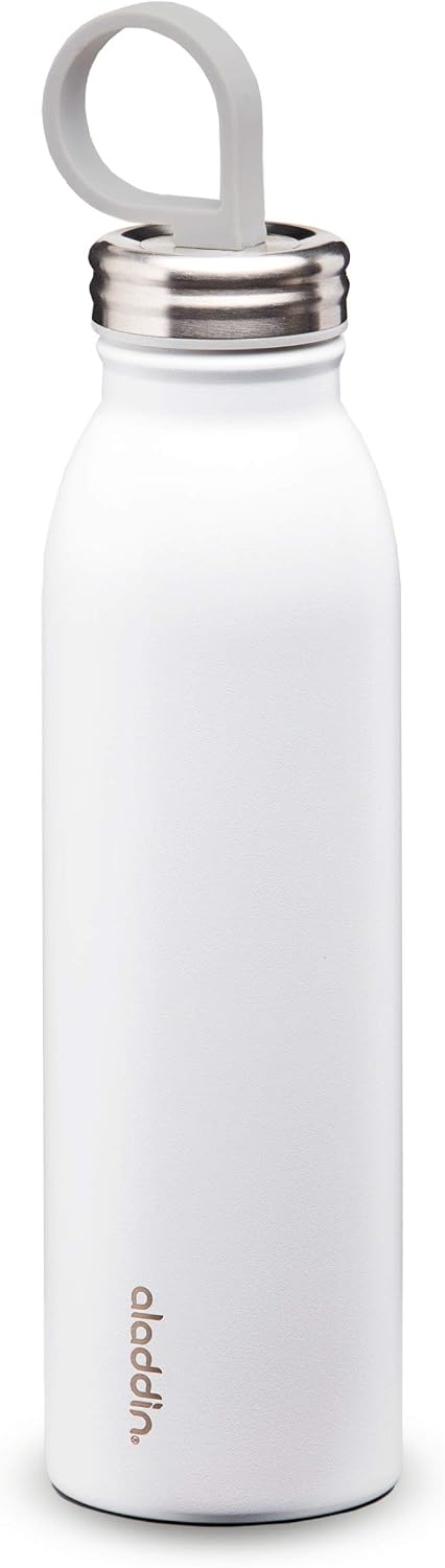 Aladdin Chilled Thermavac - Botella de agua de acero inoxidable de...