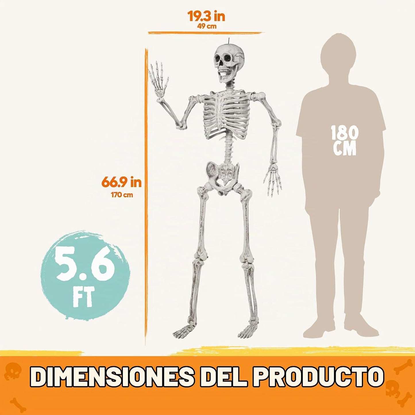 JOYIN - Esqueleto de Halloween de 1.7 m articulable, tamaño real, c...