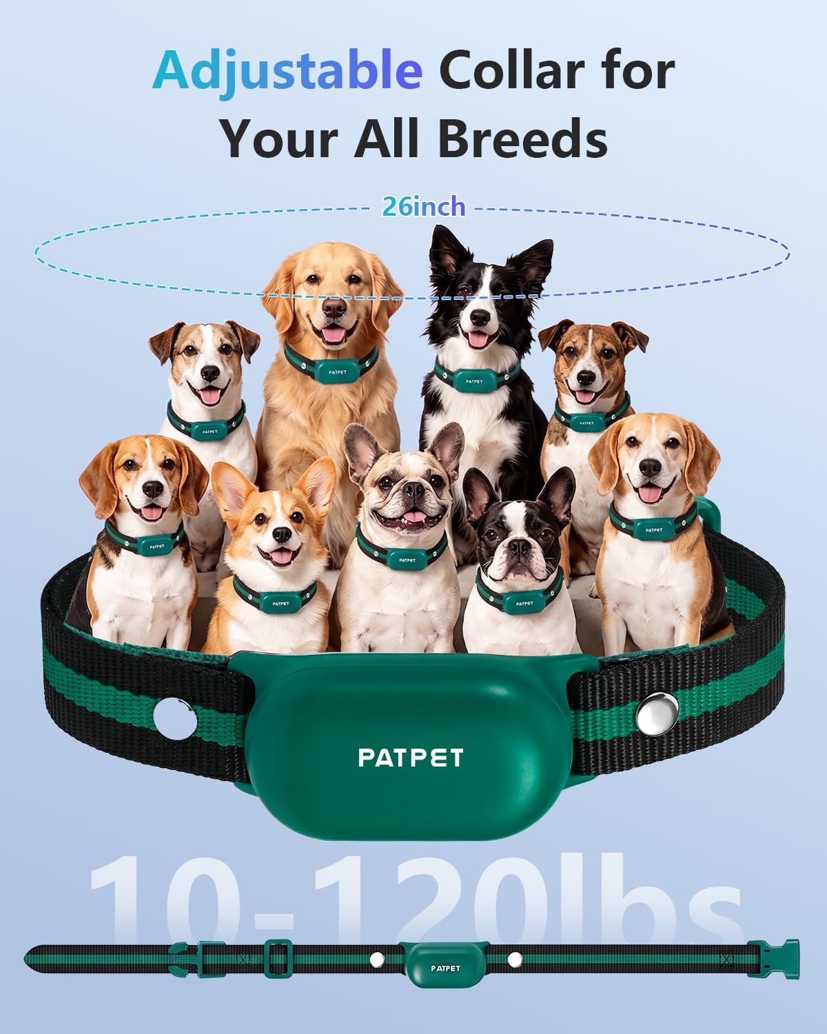 PATPET Collar de Entrenamiento para Perros con Control Remoto - Col...