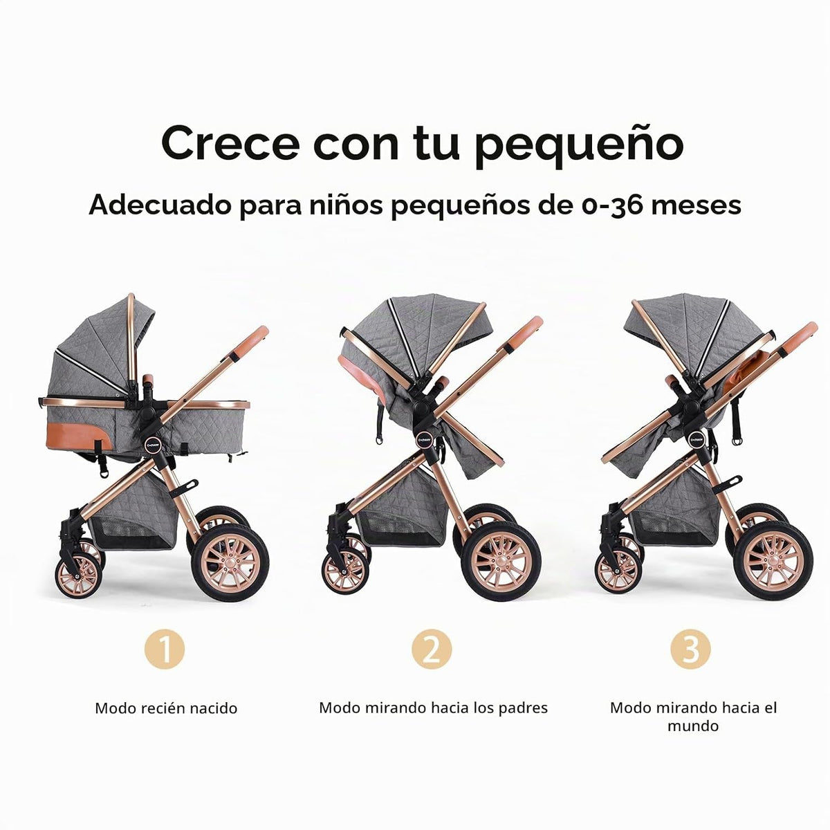 Cochildor DuraFlex - Cochecito de bebé 2 en 1, cochecito de viaje p...