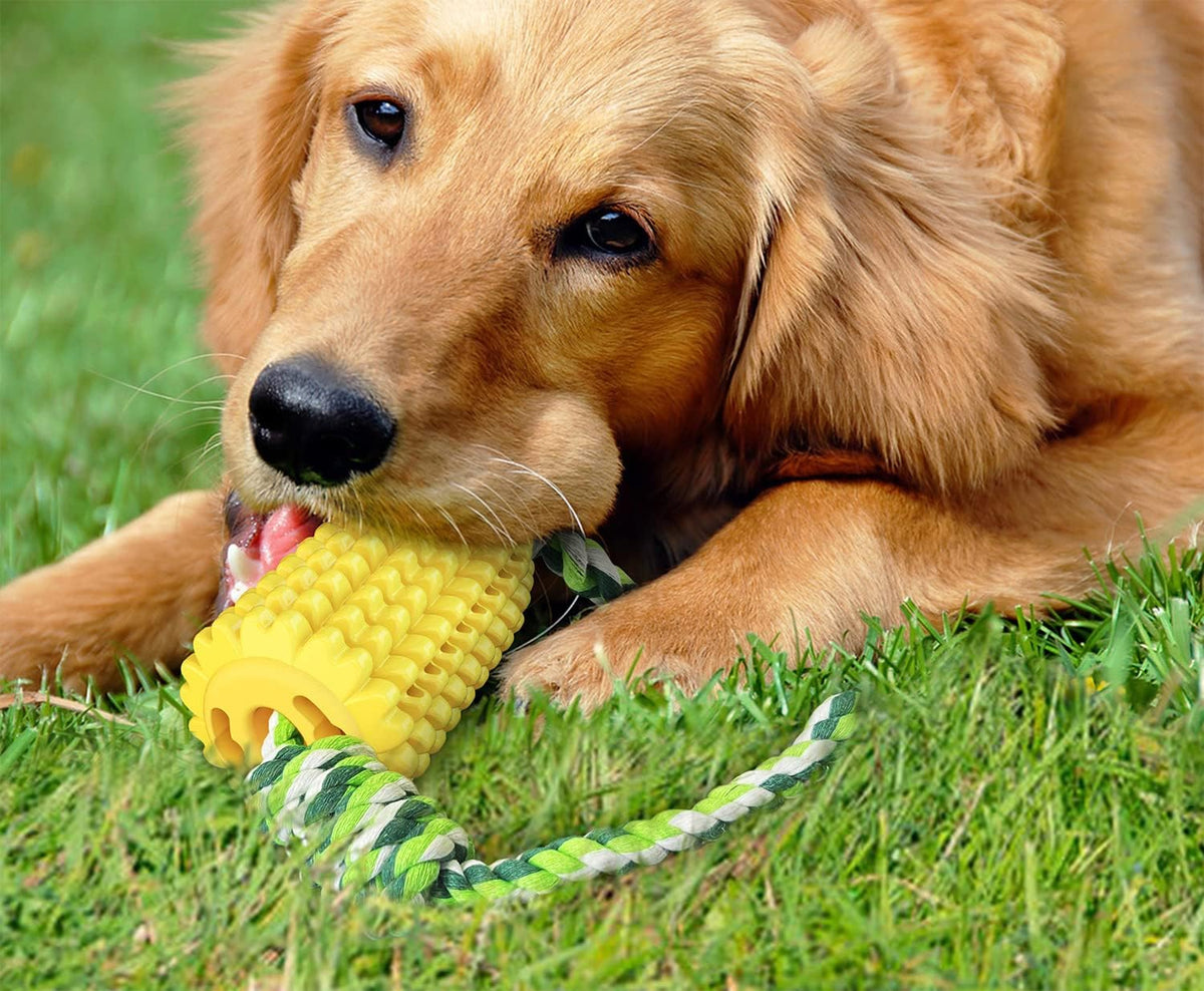 Carllg Juguetes masticables para perros, cepillo de dientes para ca...