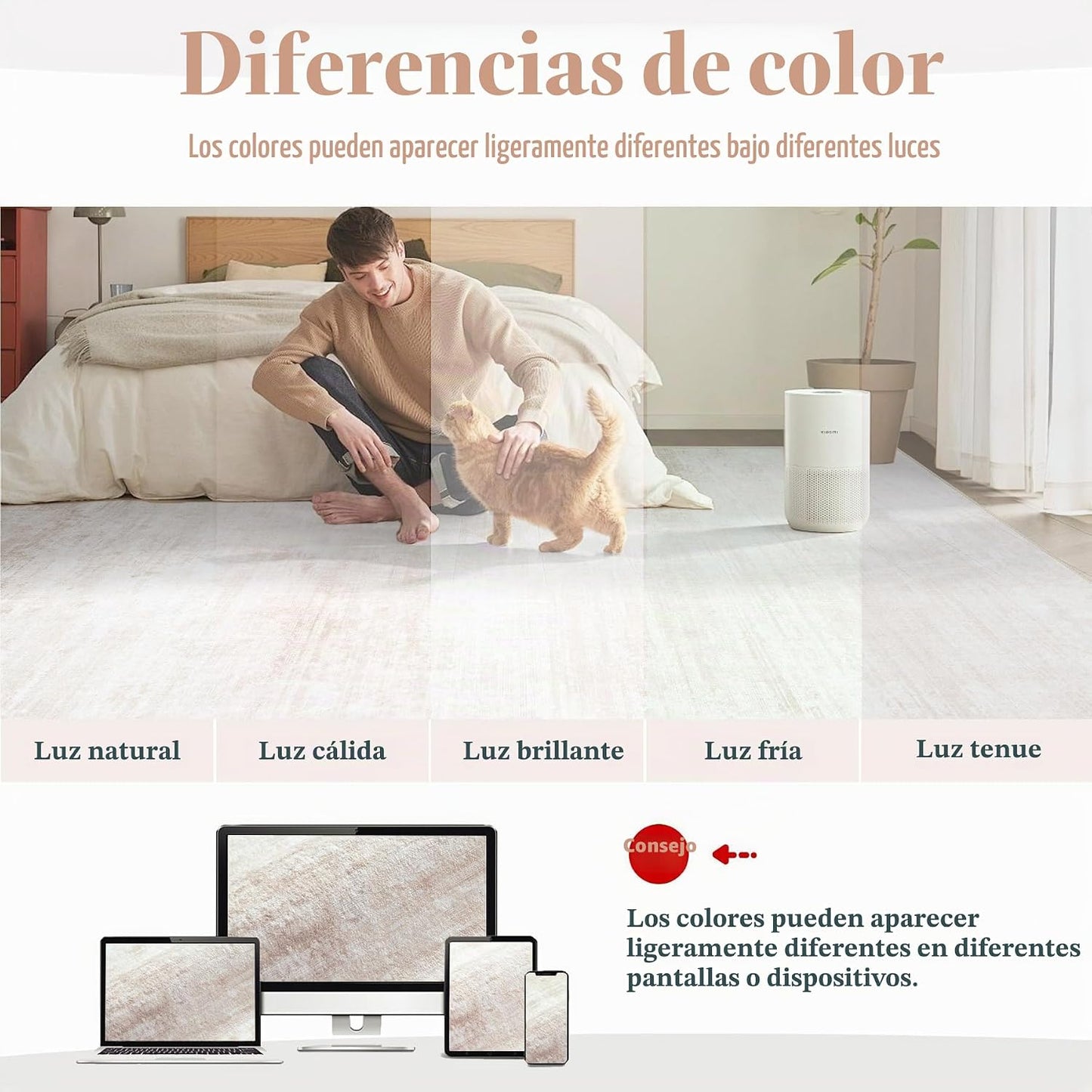 Alfombras de Área 6x9 para Sala de Estar: Alfombra Lavable Moderna...