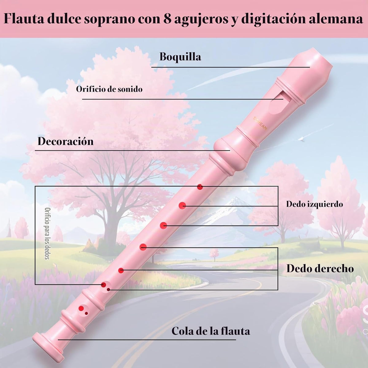 SDREAM Flauta dulce soprano para niños y adultos - Flauta grabadora...