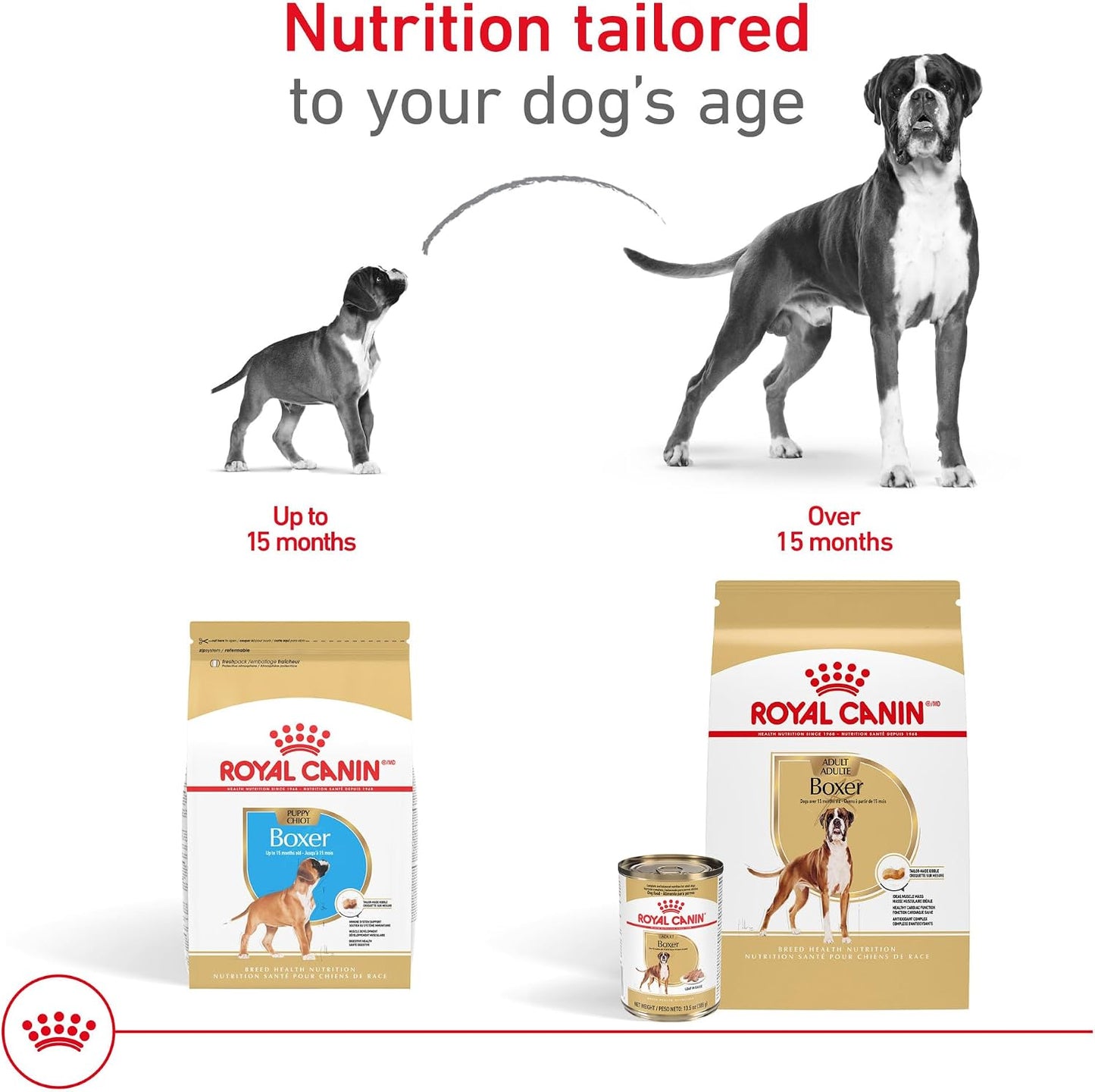 ROYAL CANIN Boxer Puppy - Alimento seco para perros, bolsa de 30 li...