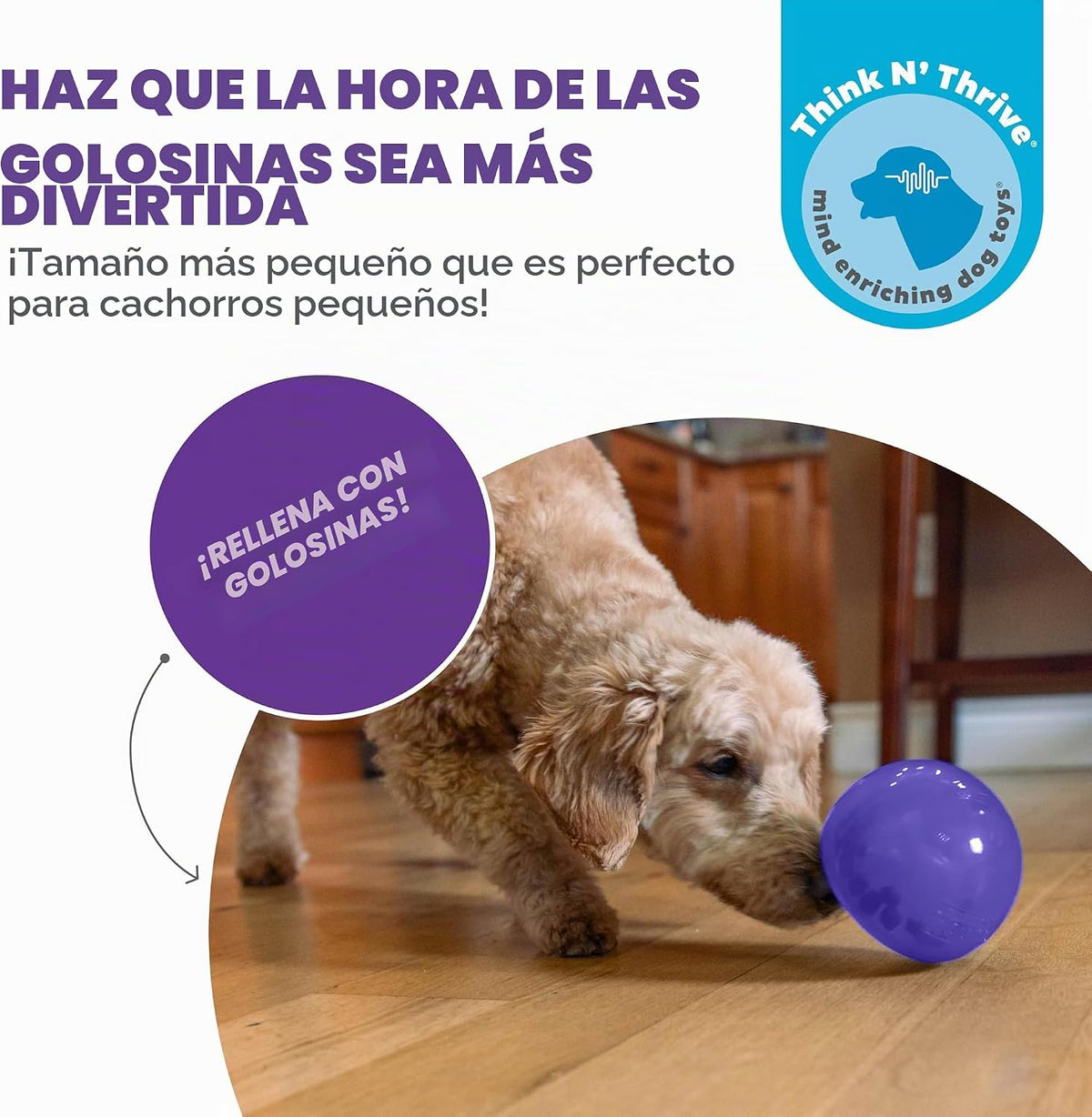 Planet Dog Orbee-Tuff Lil' Snoop - Juguete interactivo para per...