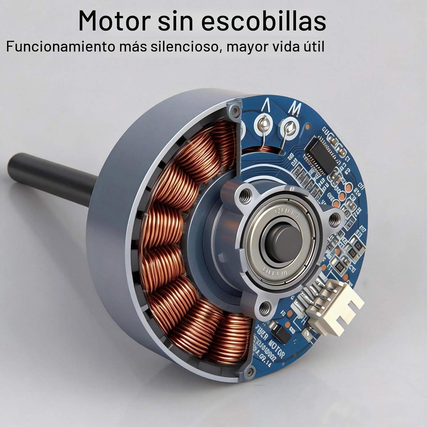 OIYALI Secador de pelo profesional con capucha de 1000 W, secador d...