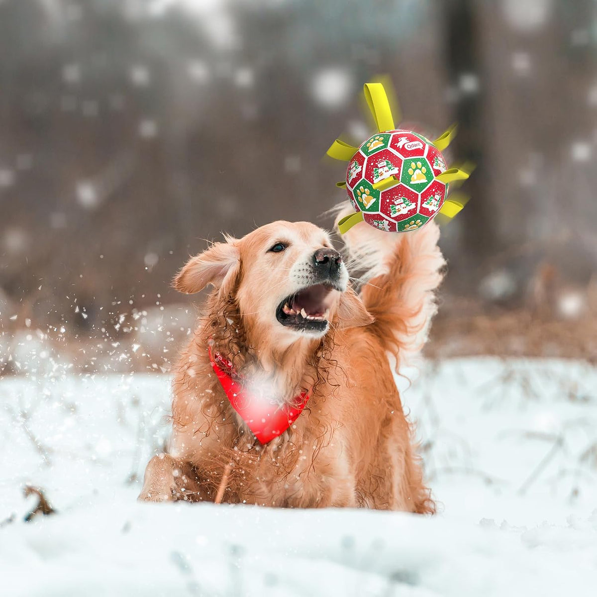 QDAN Juguetes navideños para perros: pelota de fútbol para perros c...