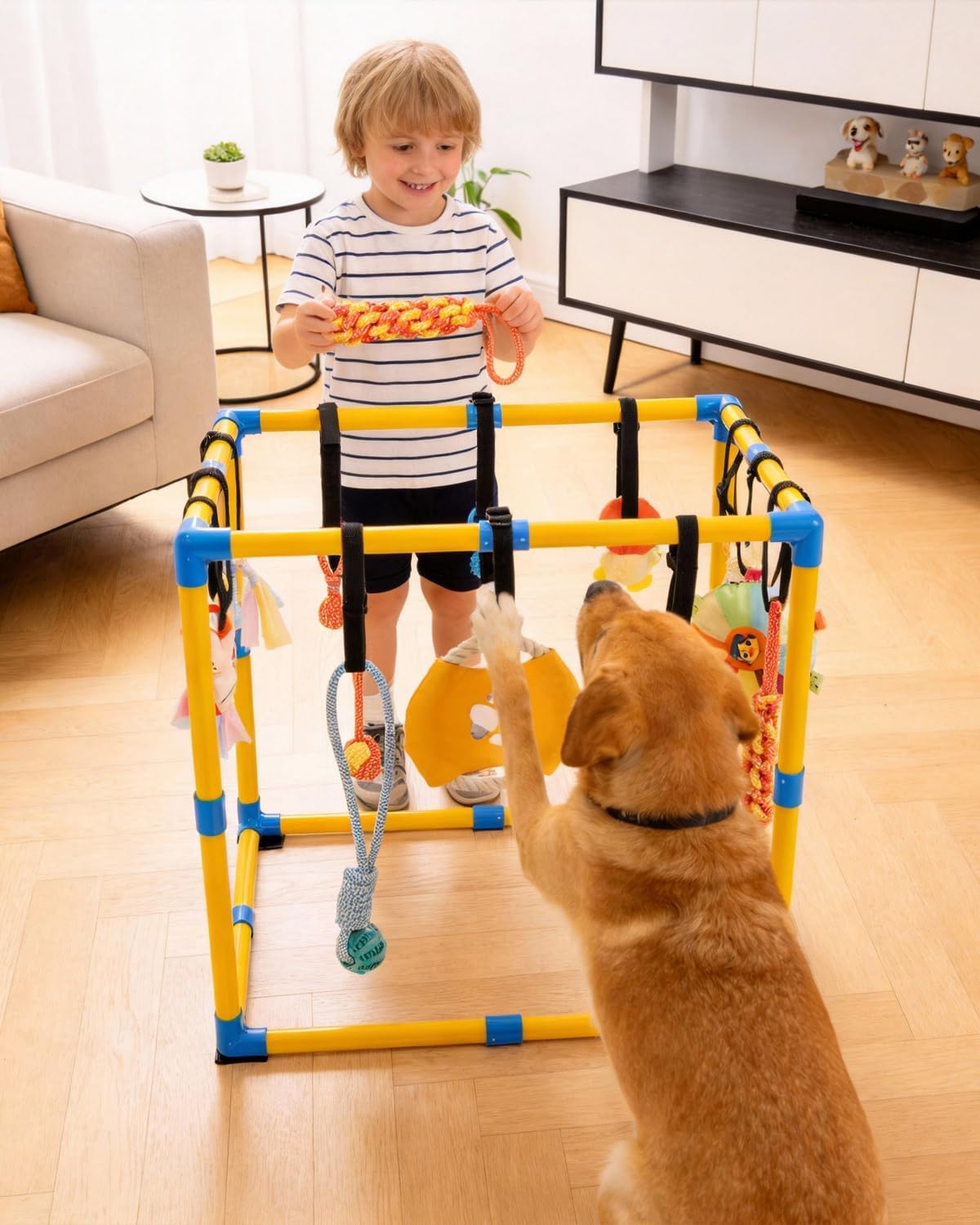 Grevigily Gimnasio de juego para cachorros para perros pequeños, 23...