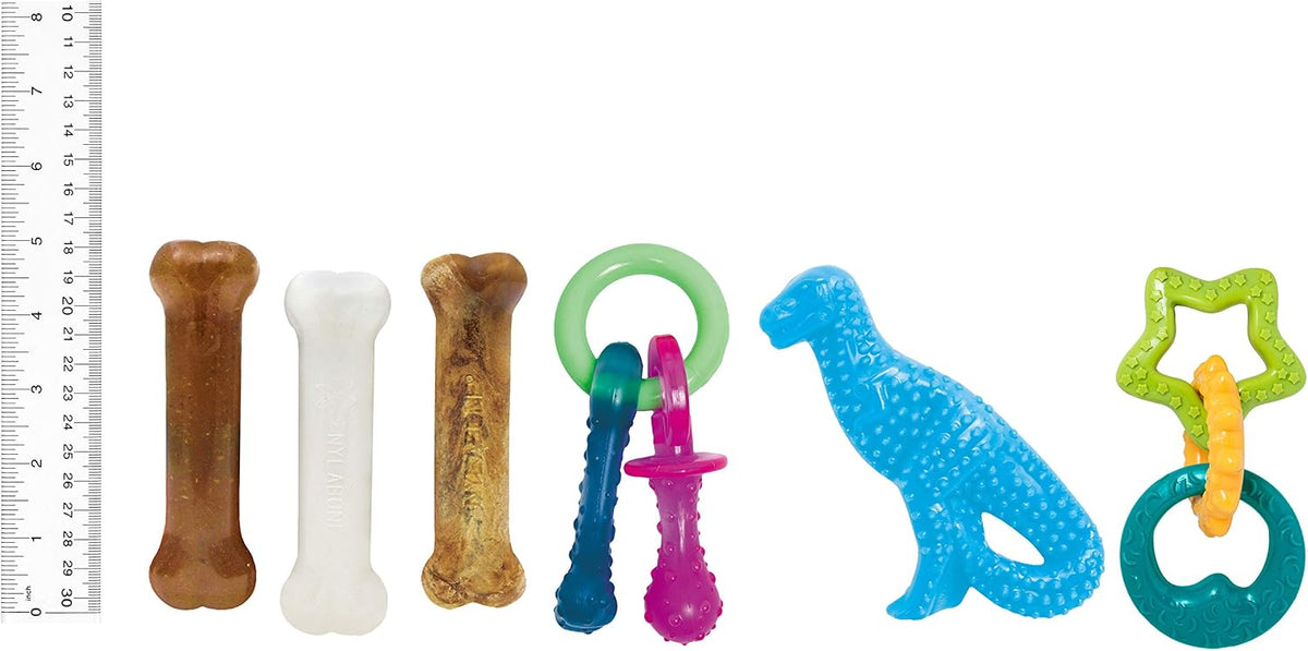 Nylabone Paquete de juguetes masticables y golosinas para cachorros...
