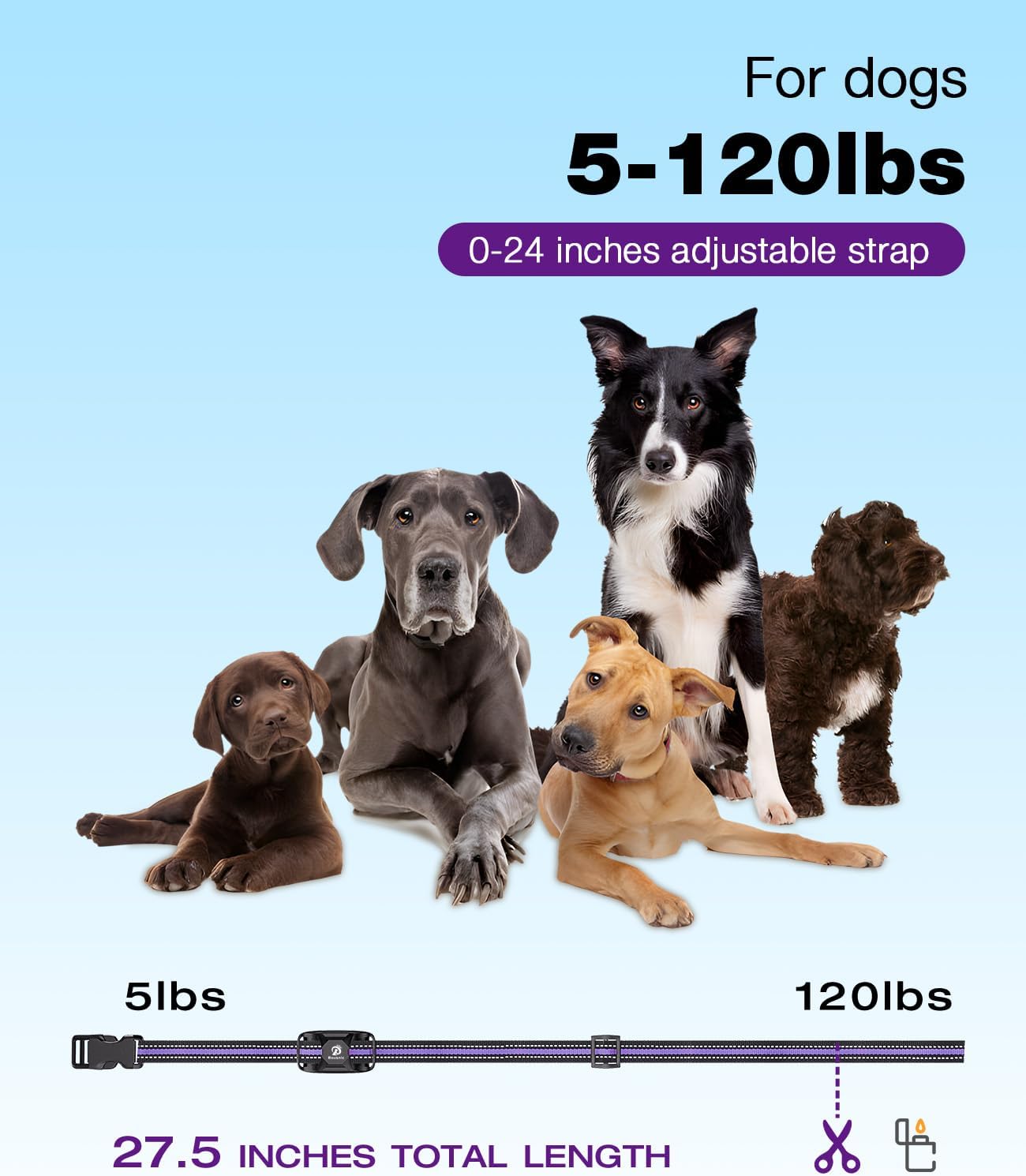 Bousnic Collar de choque para perro - Collar de entrenamiento de 10...