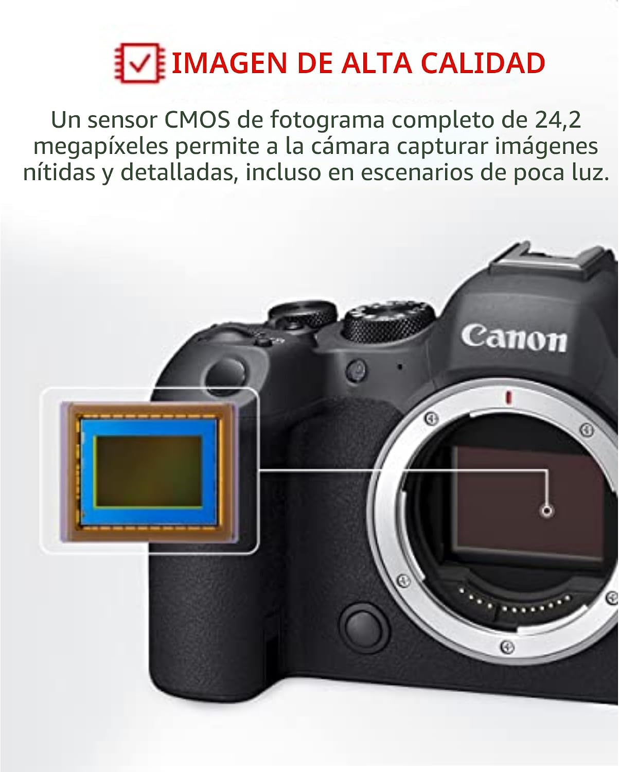 Canon EOS R6 Mark II Cámara sin espejo con lente RF24-105mm F4-7.1...