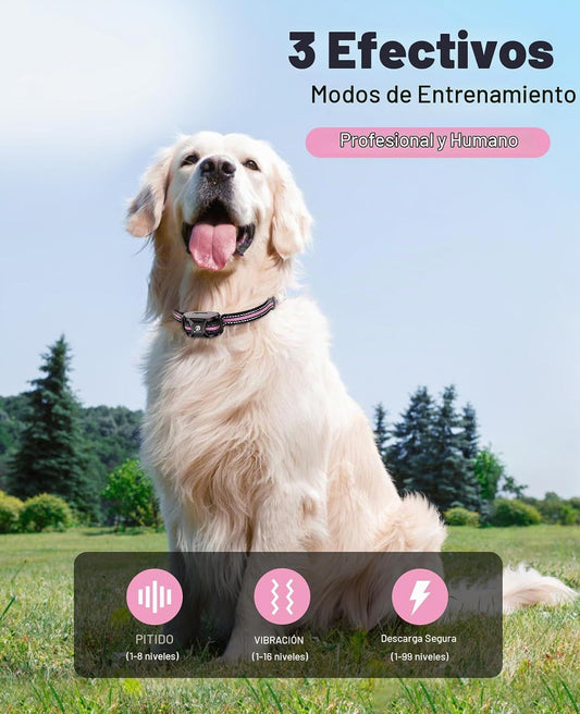 Bousnic Collar de choque para perro, collar de entrenamiento de per...