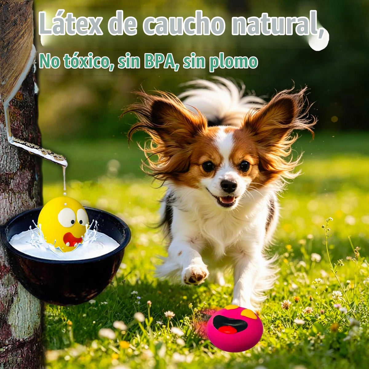 HOLYSTEED Juguetes chirriantes de látex para perros pequeños, mini...