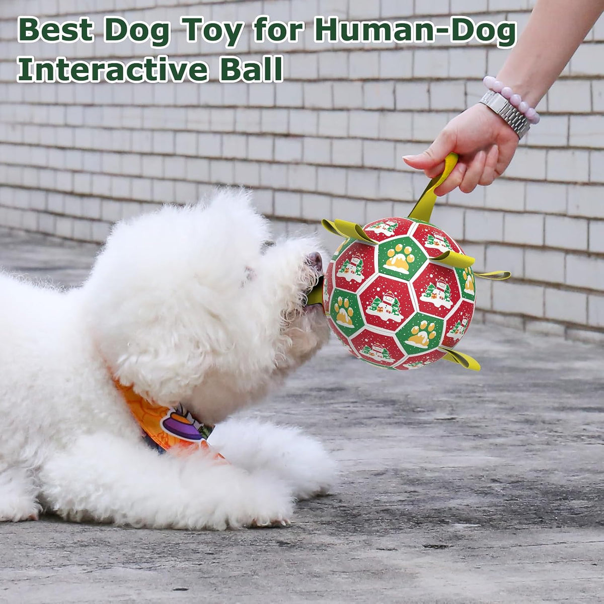 QDAN Juguetes navideños para perros: pelota de fútbol para perros c...
