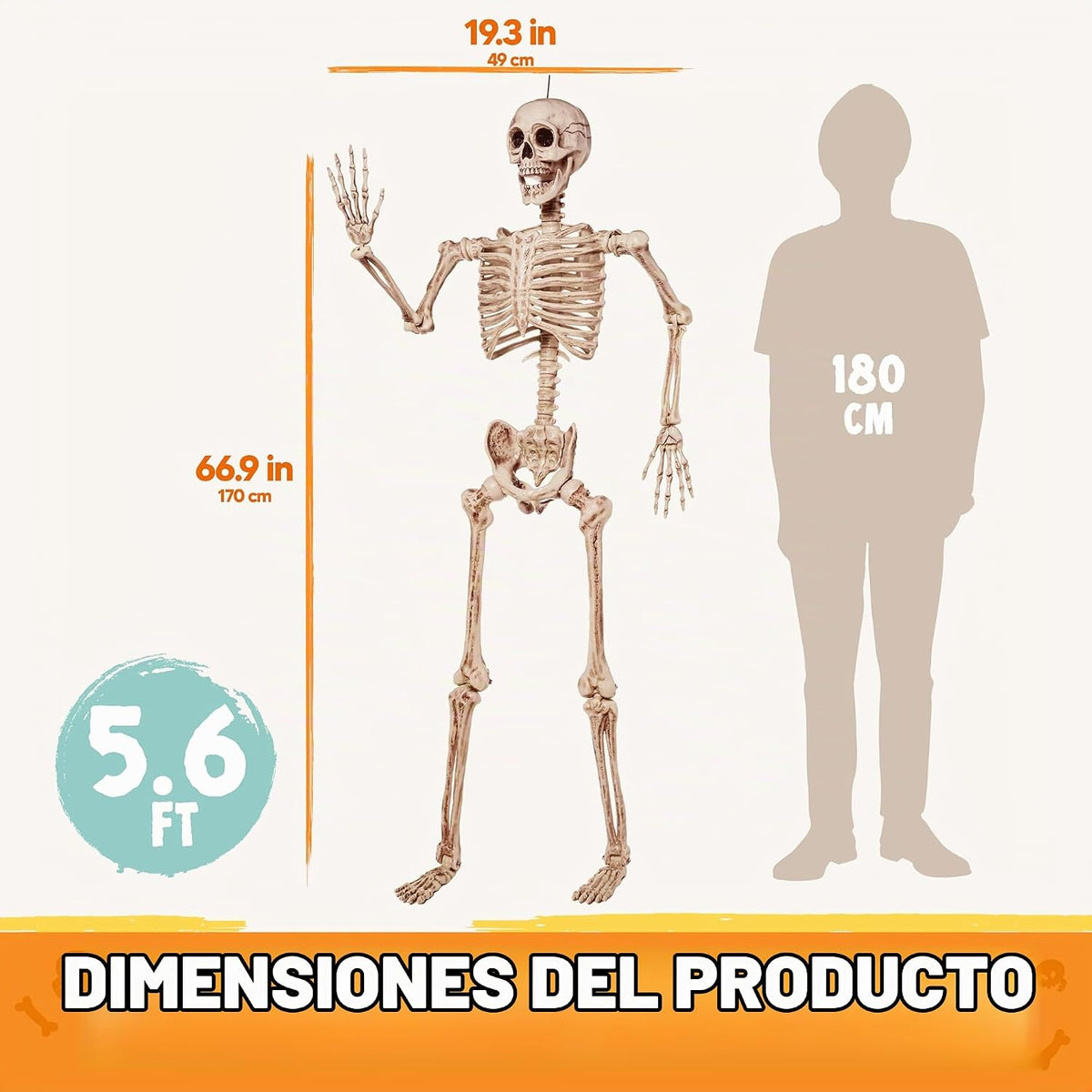 JOYIN - Esqueleto de Halloween de 1.7 m articulable, esqueleto de t...