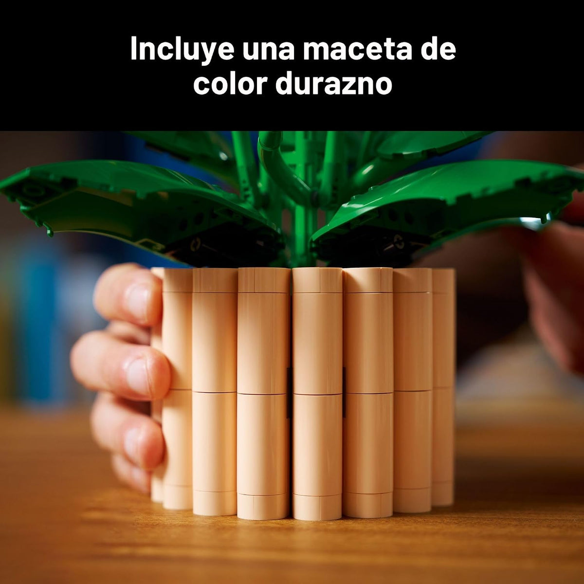 LEGO Botanicals - Juego de construcción de flores de lirio de la pa...