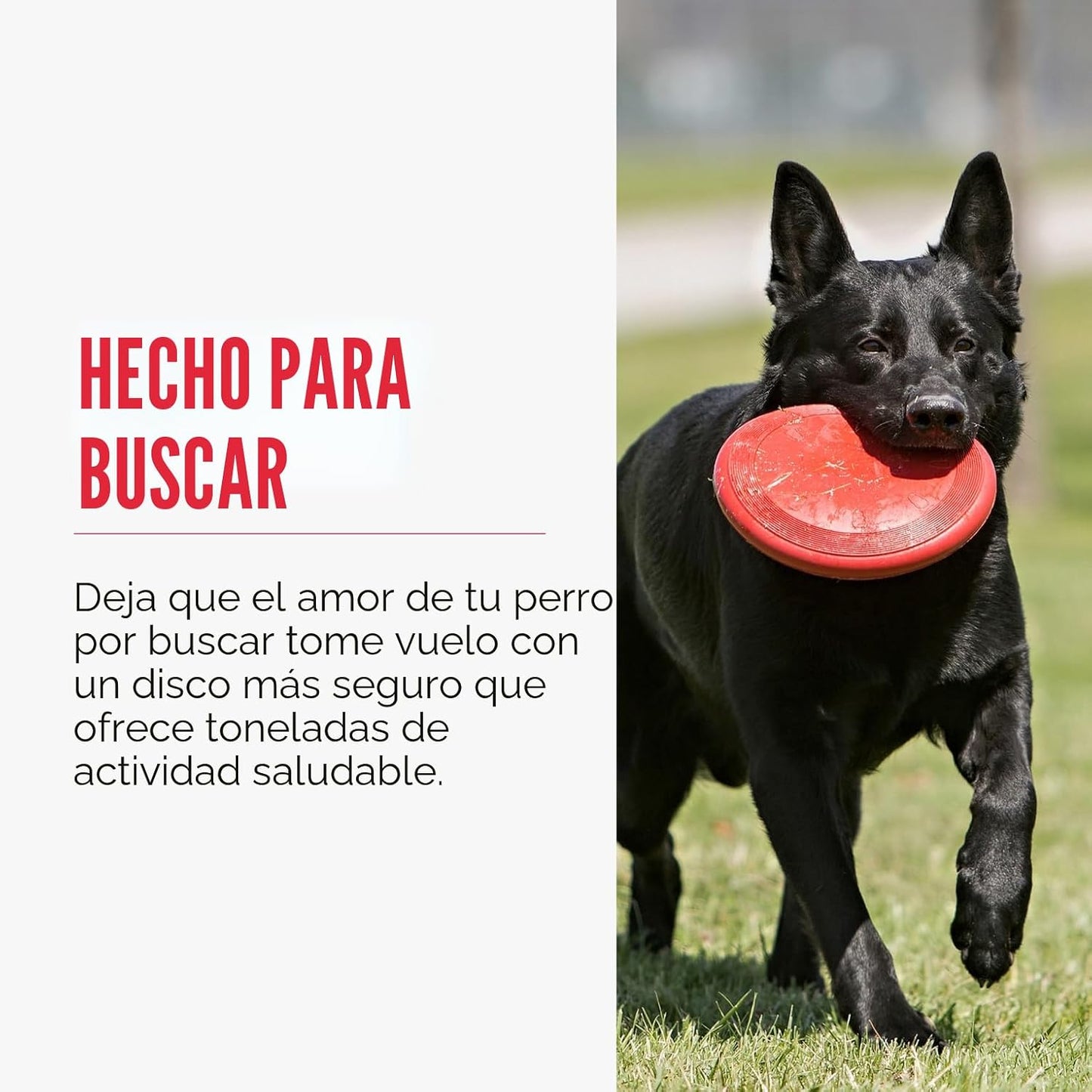 KONG Flyer, disco volador de goma natural, juguete para perros medi...