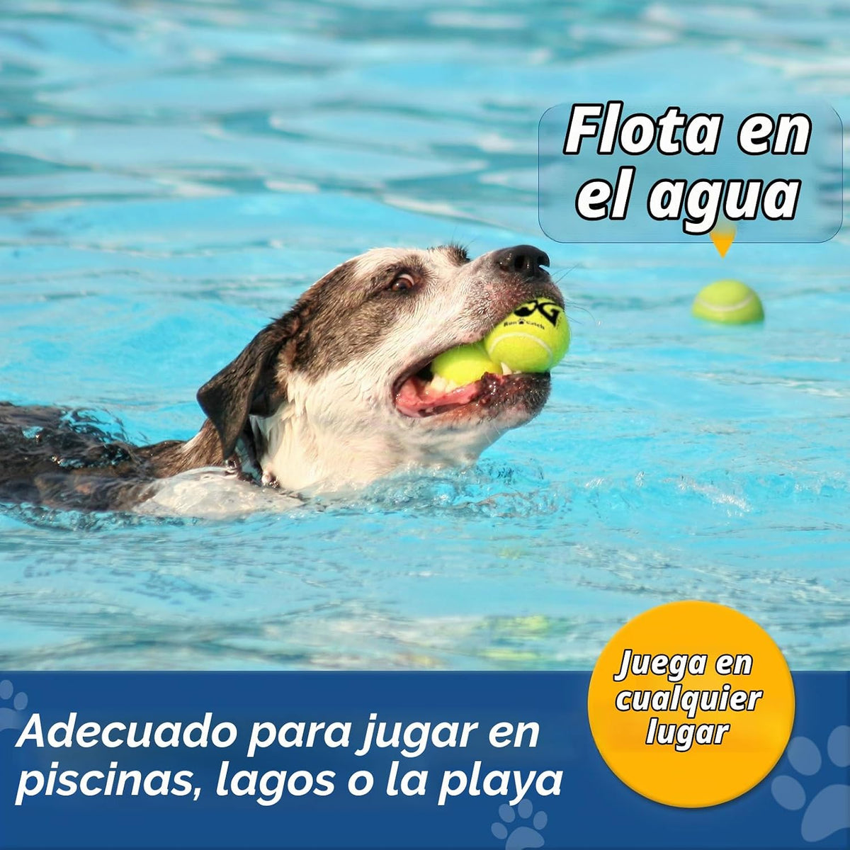 Pelotas de tenis para perros INSUM, paquete de 12 pelotas coloridas...