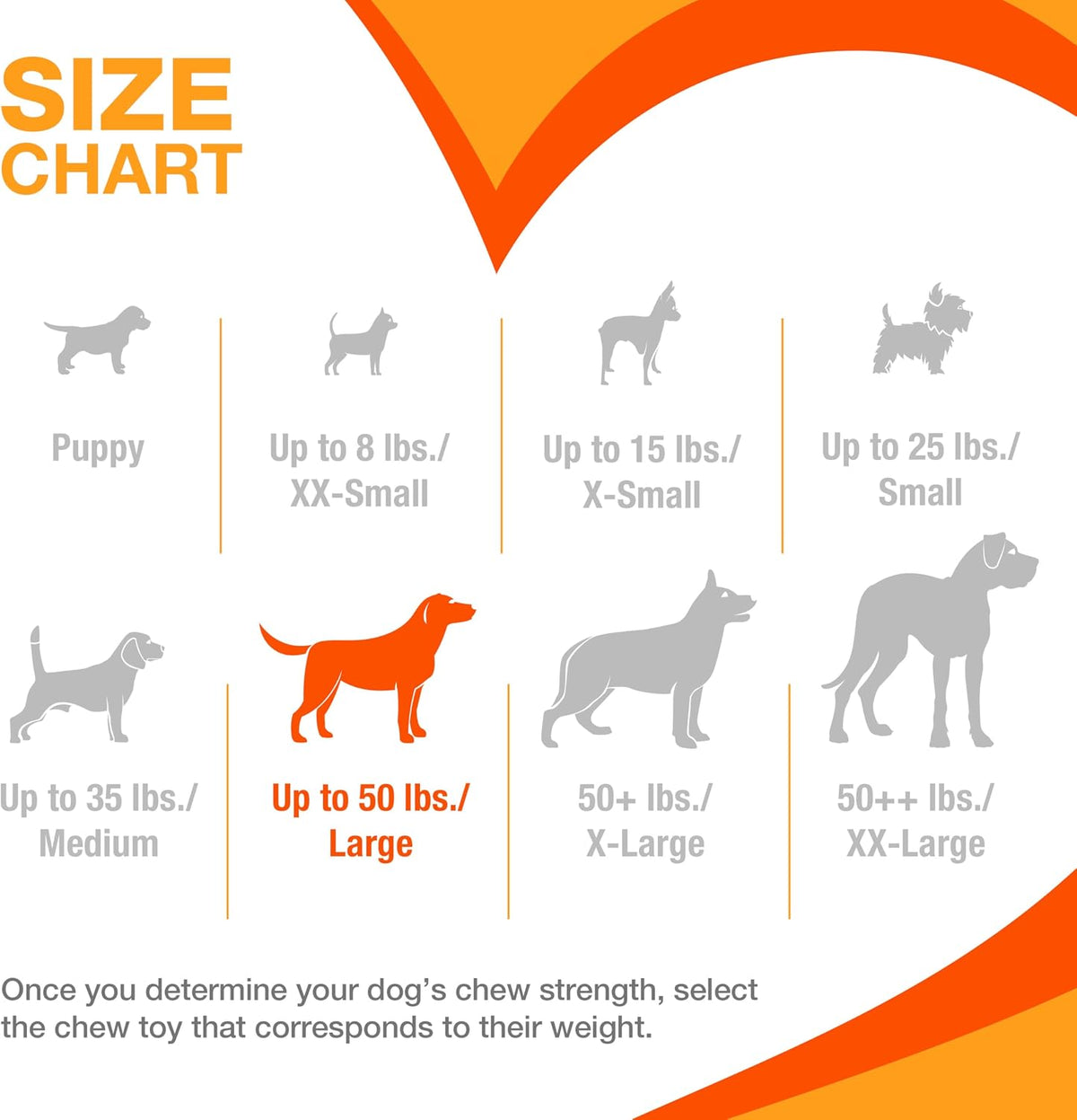 Nylabone Power Chew Customer Favorites - Juguetes masticables para...