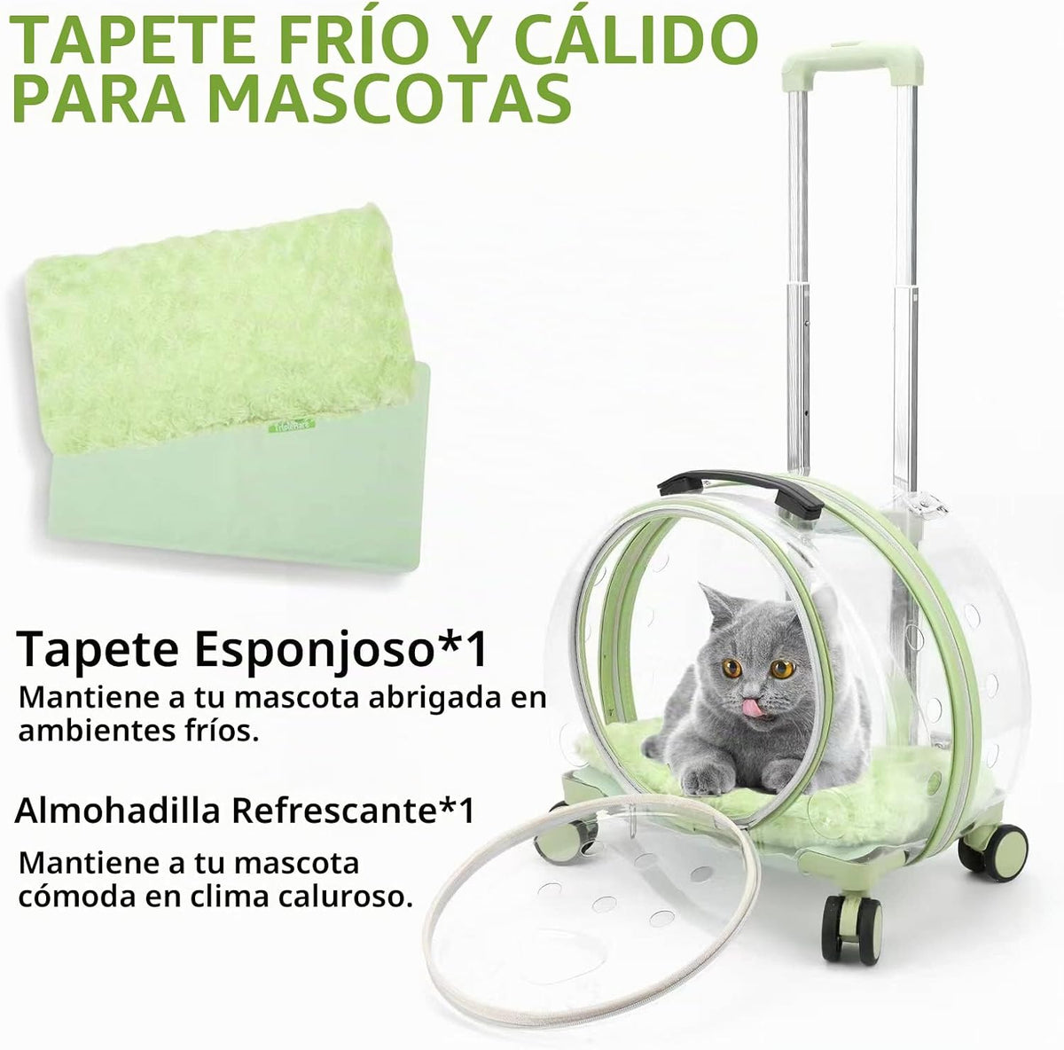 Transportador transparente y completamente transpirable rígido para...