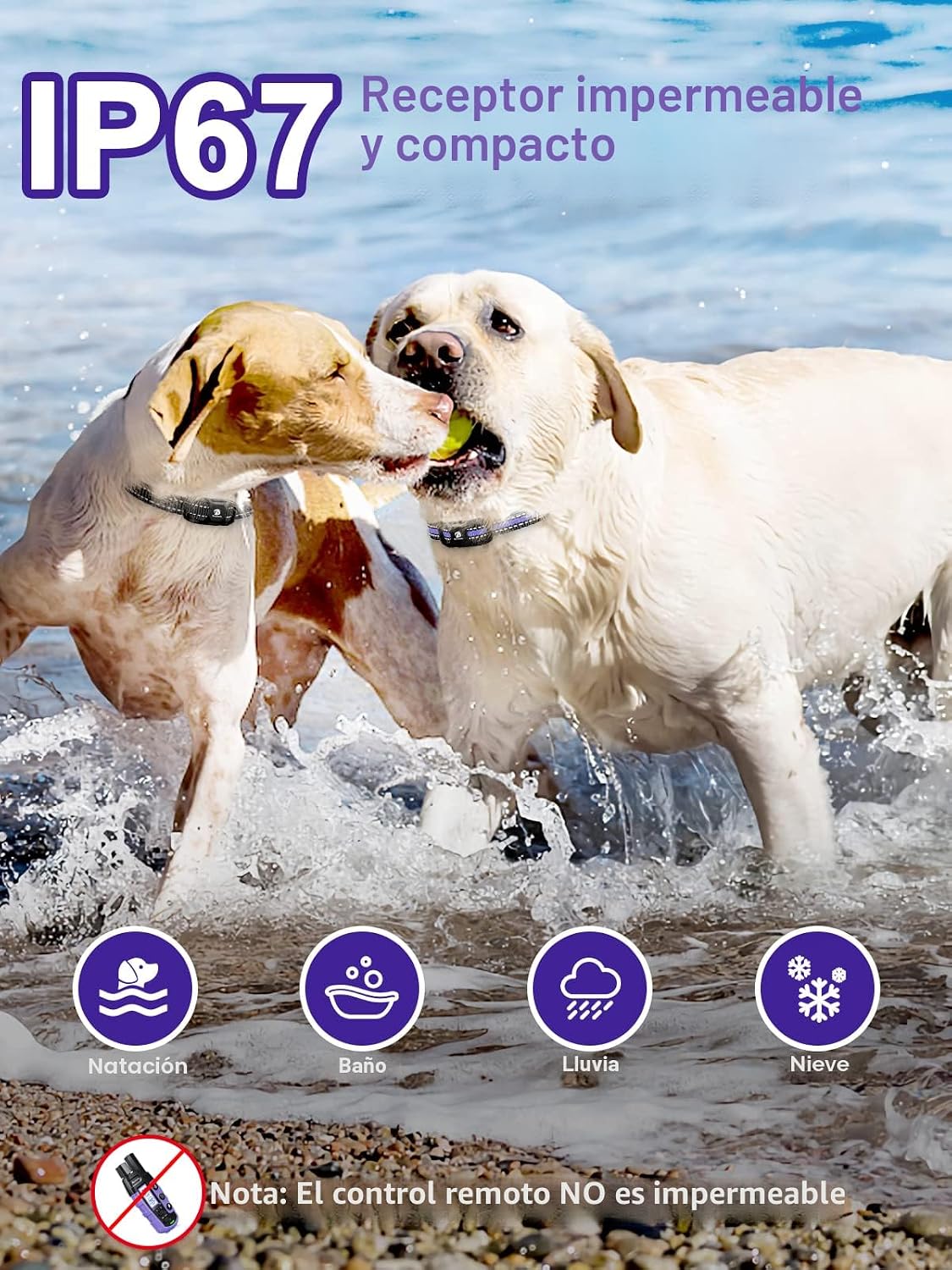 Bousnic Collar de choque para perros 2 perros (5-120Lbs) - Collar d...