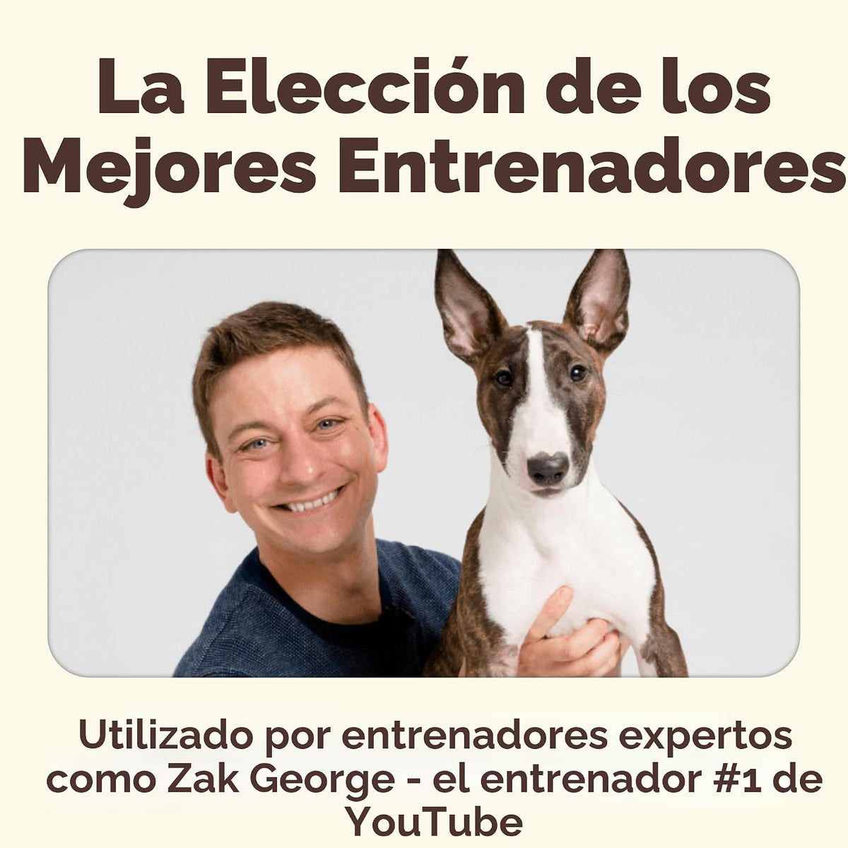 Golosinas de entrenamiento liofilizadas Pupford para perros y cacho...