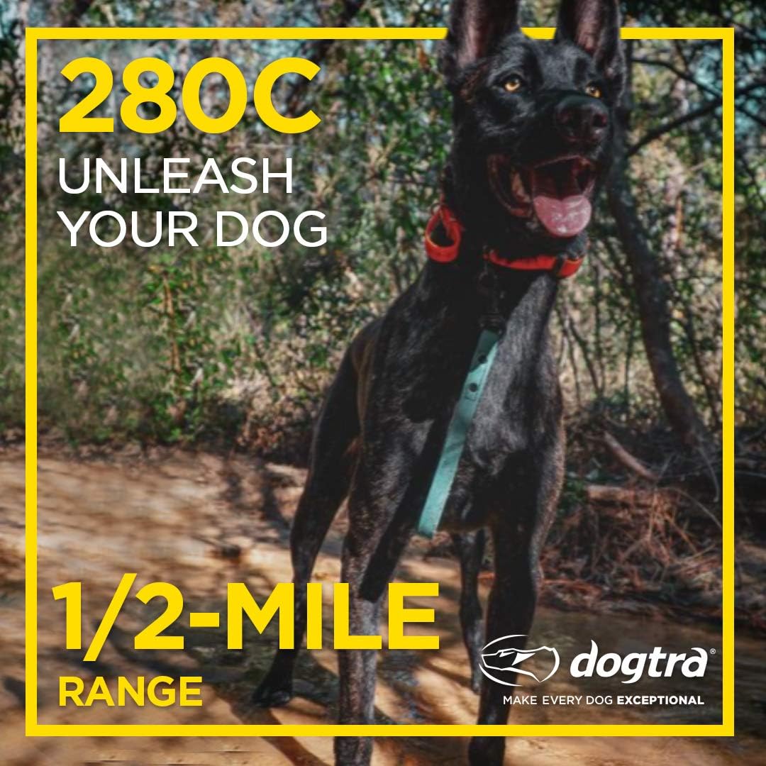 Dogtra 280C Collar E-perro impermeable con pantalla LCD de control...