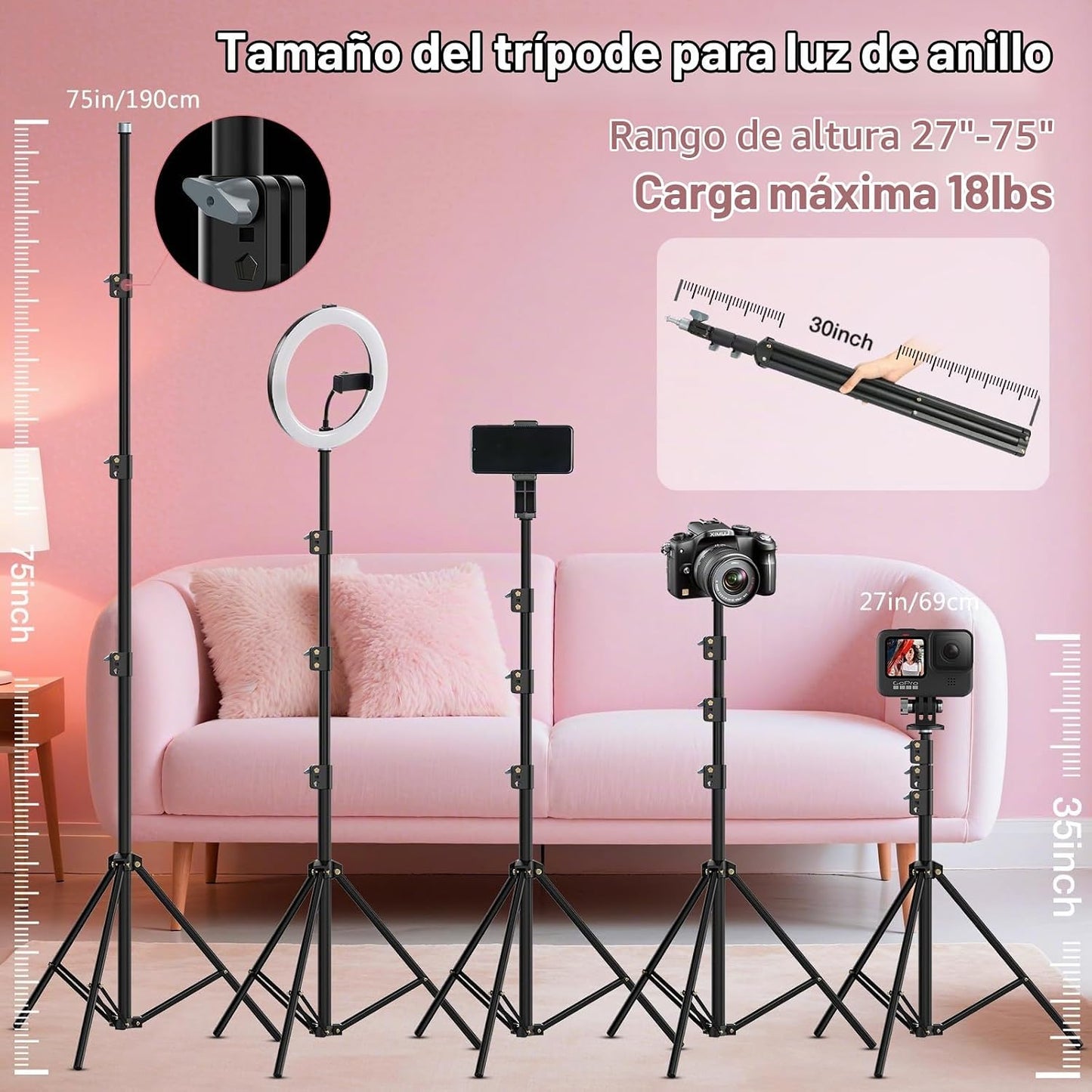 Kit de Luz de Anillo con Soporte de 22 Pulgadas: Luz de Anillo Prof...