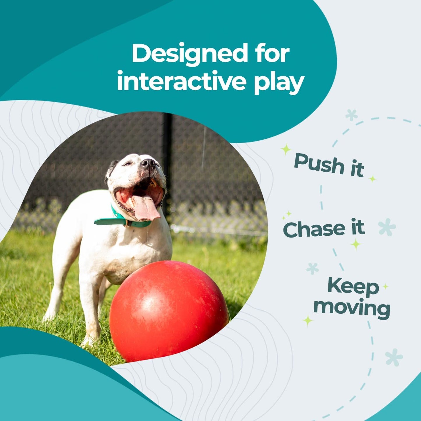 Jolly Pets Push-n-Play - Juguete de pelota para perro, 14 pulgadas\...