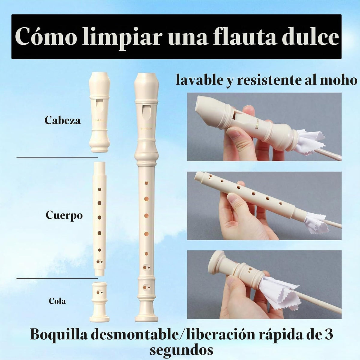 SDREAM Instrumento de grabadora soprano para niños principiantes y...