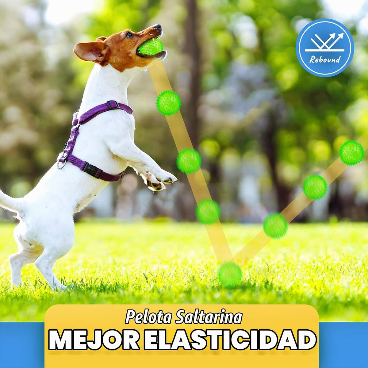 Juguete para cachorros de 2.5 pulgadas, bolas chirriantes para perr...
