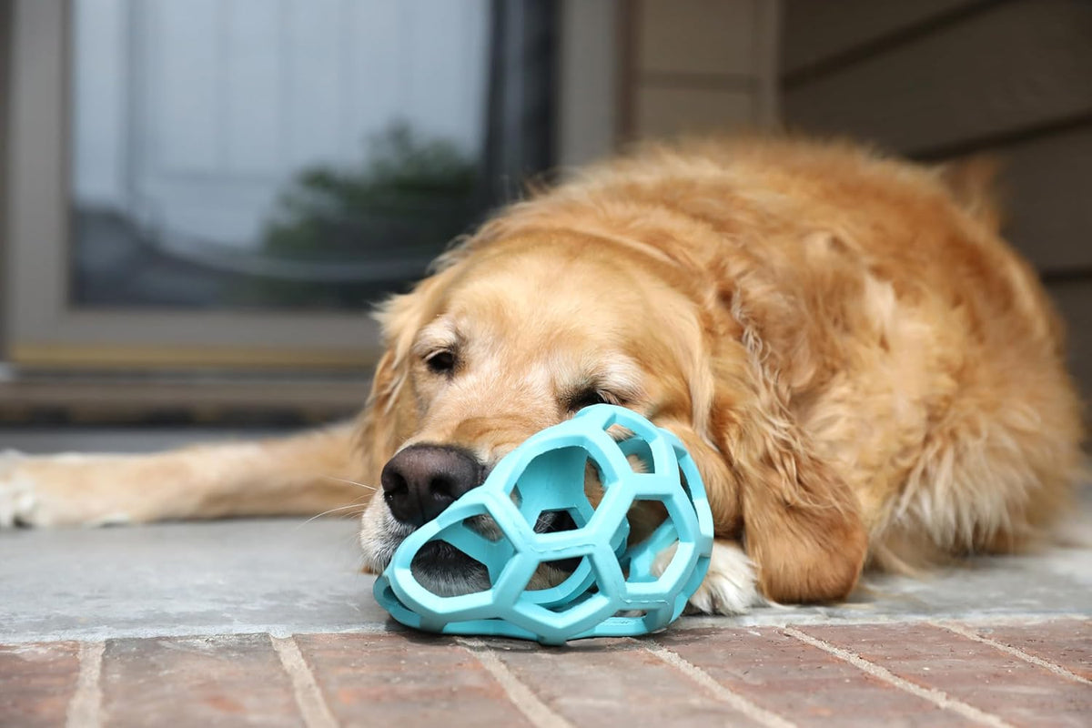 JW Pet HOL-ee Roller™, bola de rompecabezas de juguete para perros,...