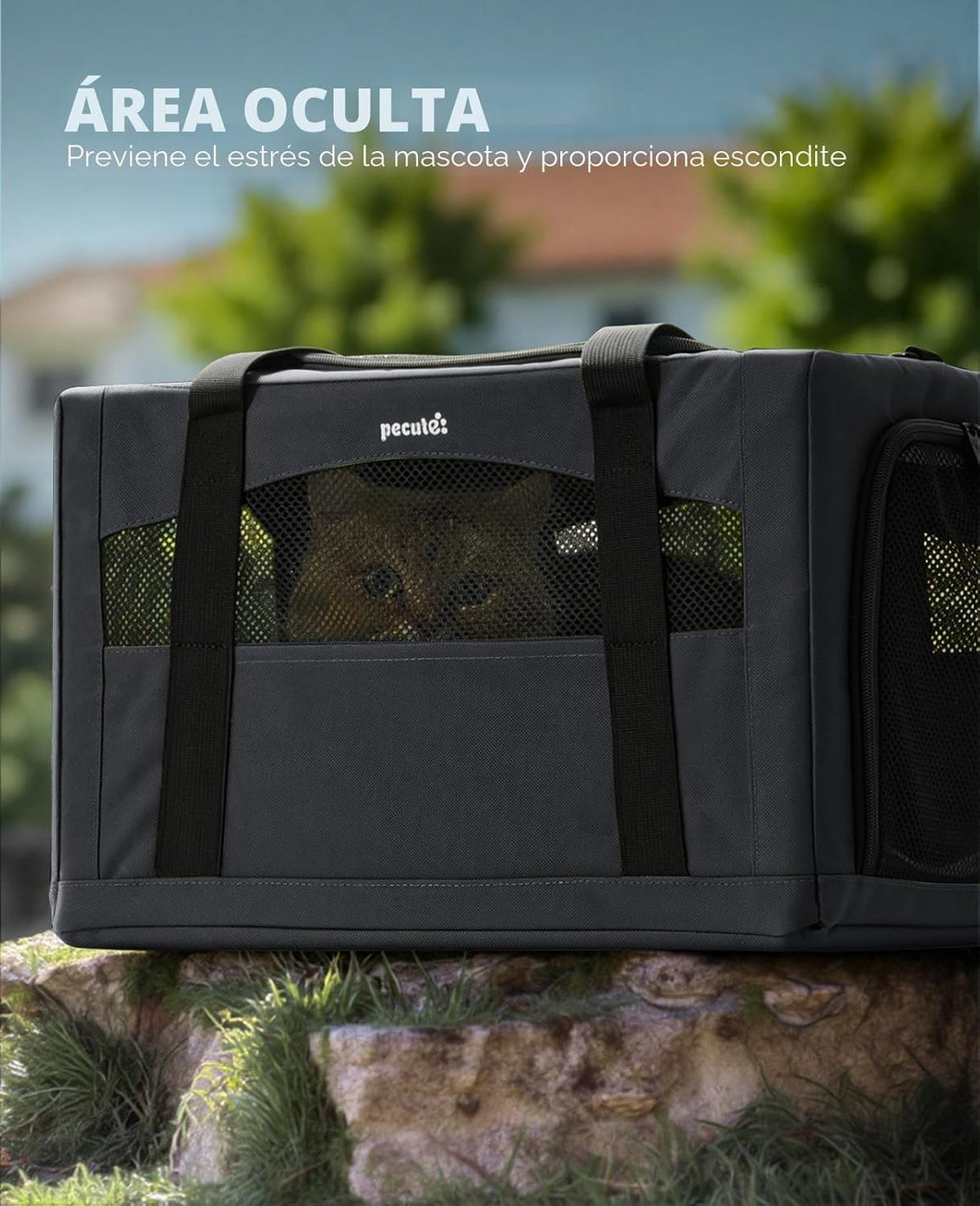 Pecute Transportador estable para gatos, transportador de mascotas...