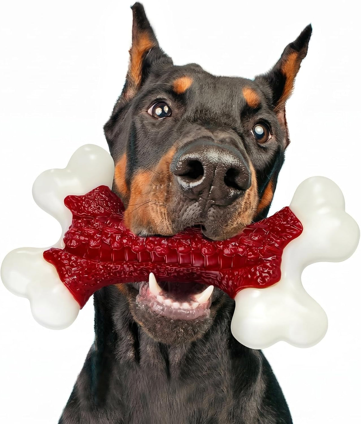 Kseroo - Juguetes masticables resistentes para perros masticadores...