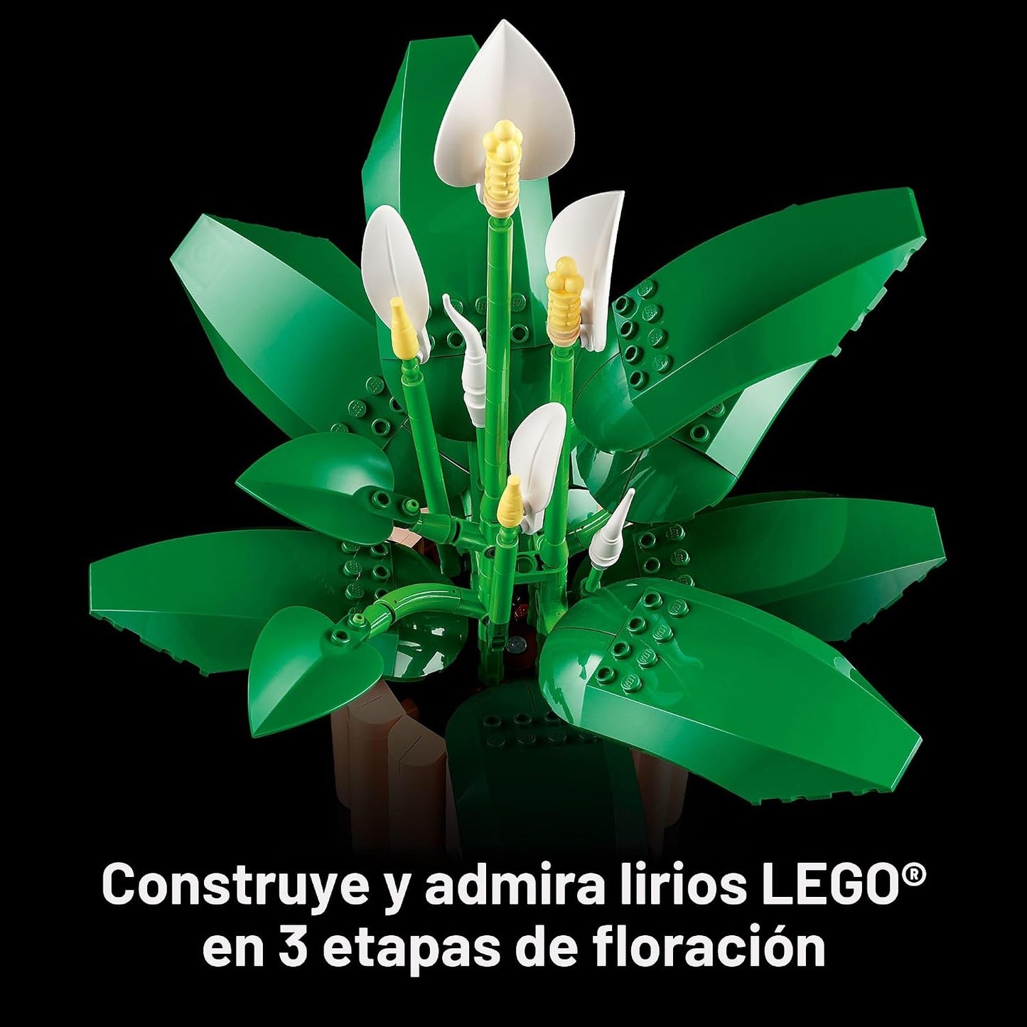 LEGO Botanicals - Juego de construcción de flores de lirio de la pa...
