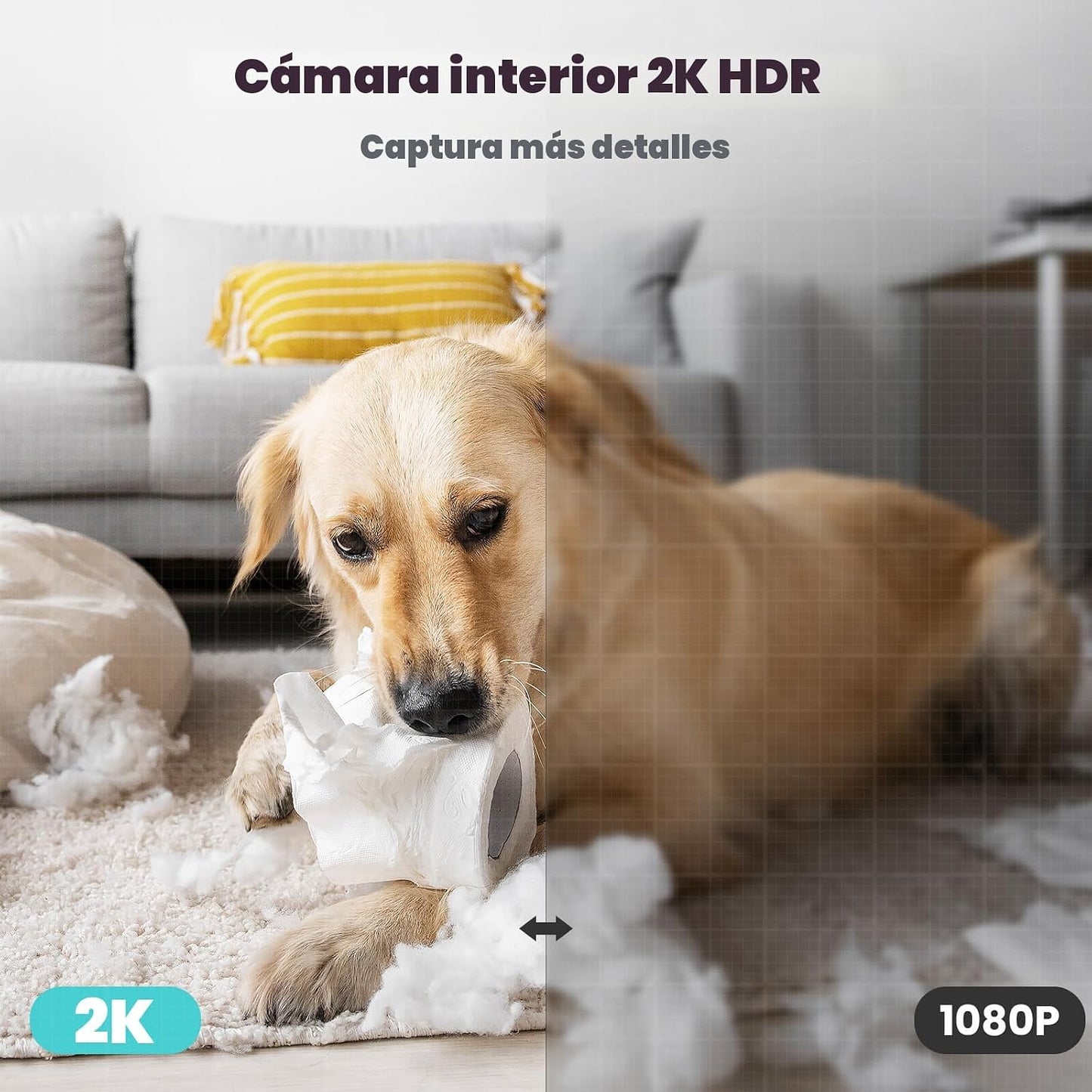 litokam Cámara de seguridad interior 2K, cámaras de 360° para segur...