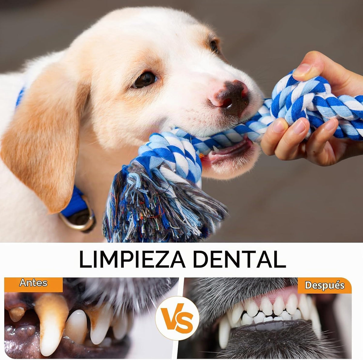 TLAZZ Paquete de 2 juguetes de cuerda para perros para razas median...