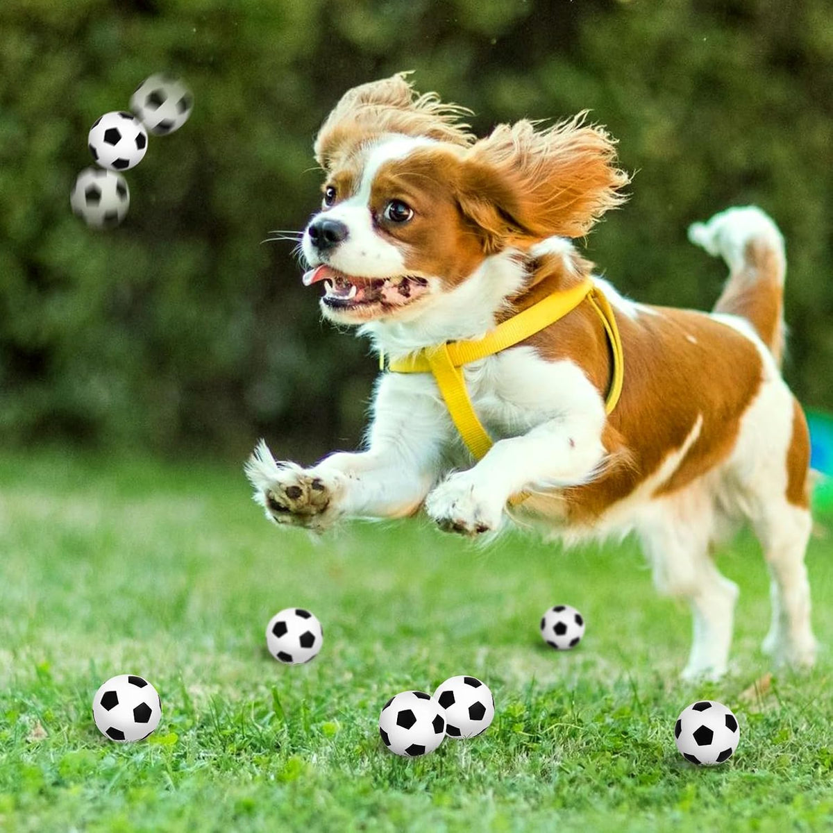 Hxezoc Mini pelotas de fútbol para el estrés, paquete de 20 unidade...