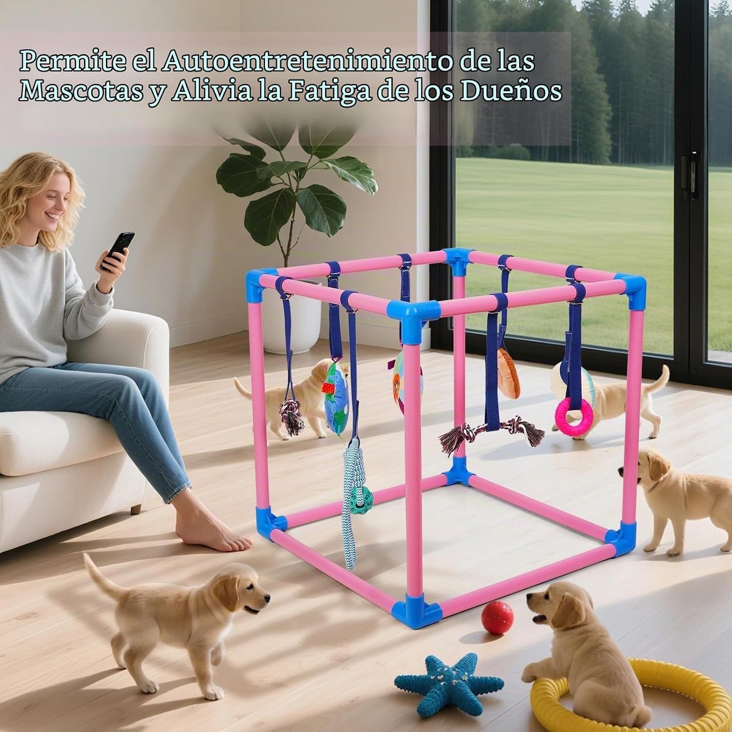 Liitrton Gimnasio de juego para cachorros \u2013 Gimnasio de juego...