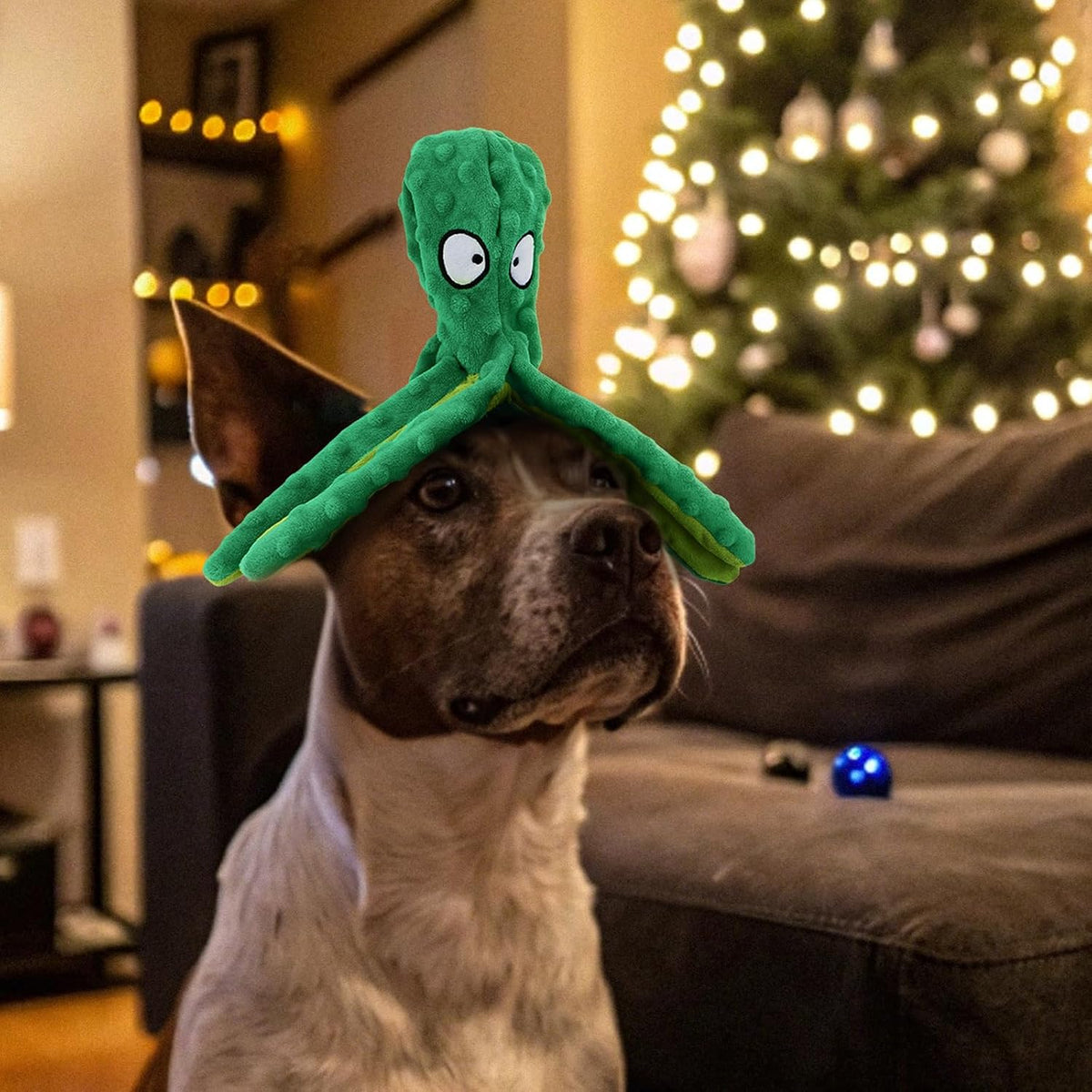 HGB Juguetes chirriantes para perros, sin relleno, pulpo arrugado p...