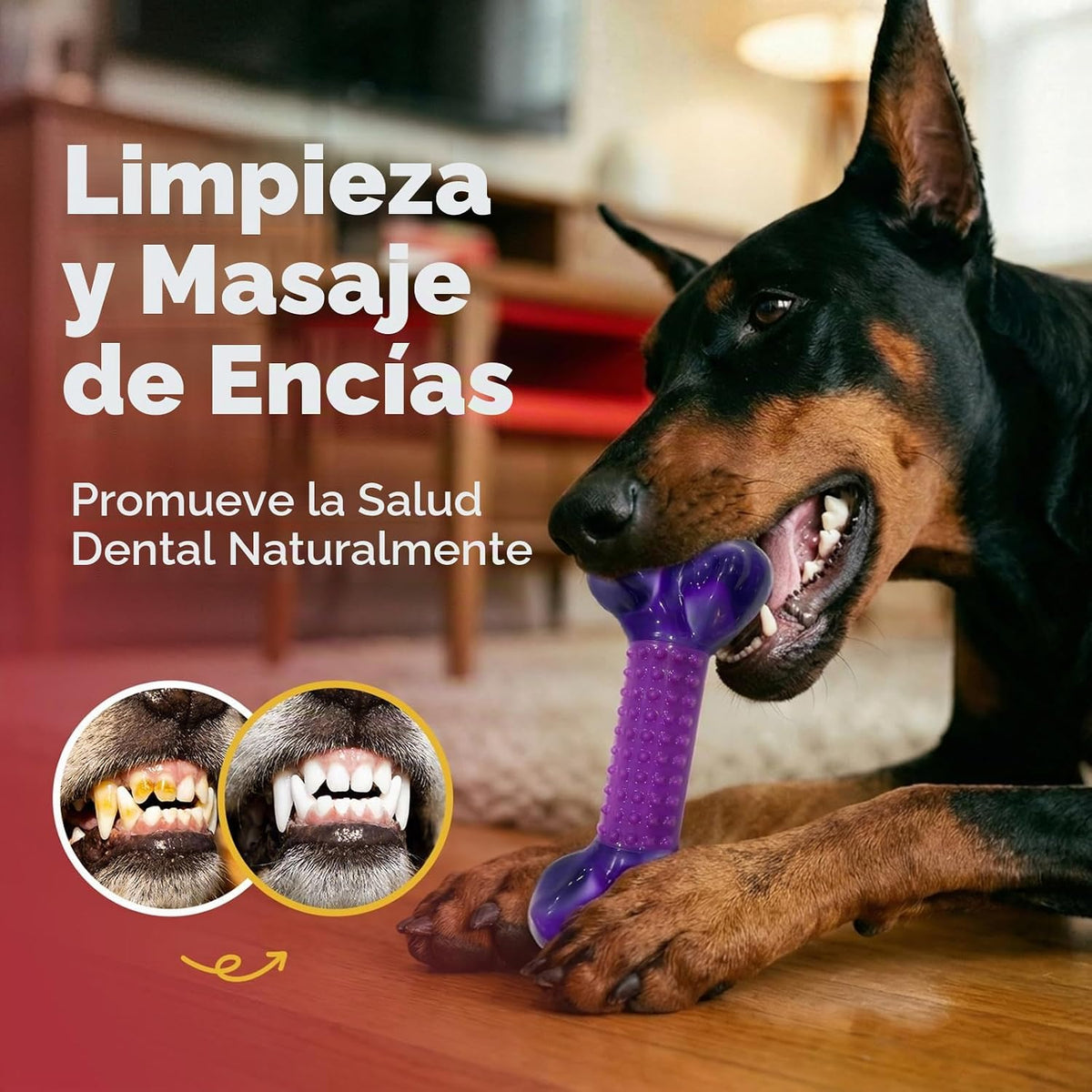 Apasiri Juguetes resistentes para perros masticadores agresivos de...