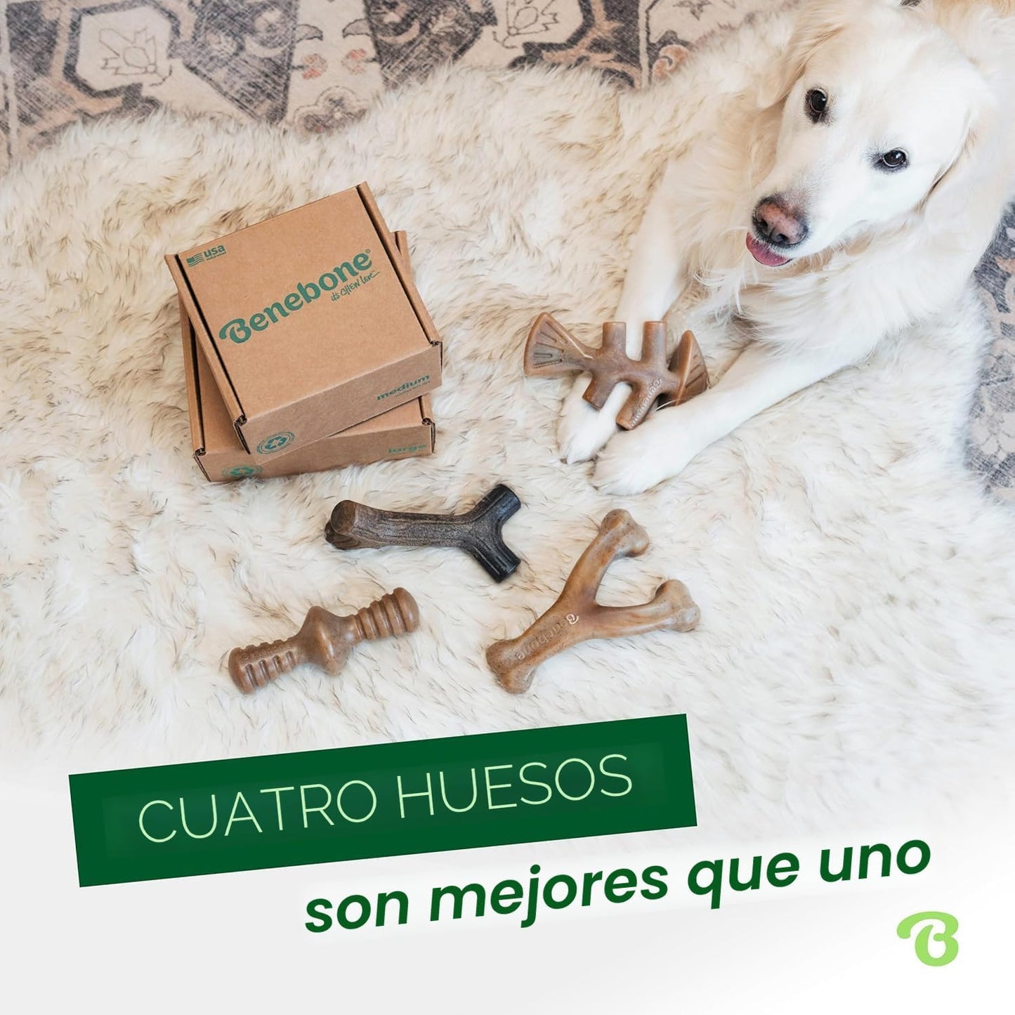 Benebone Paquete de 4 juguetes grandes para perros para masticadore...