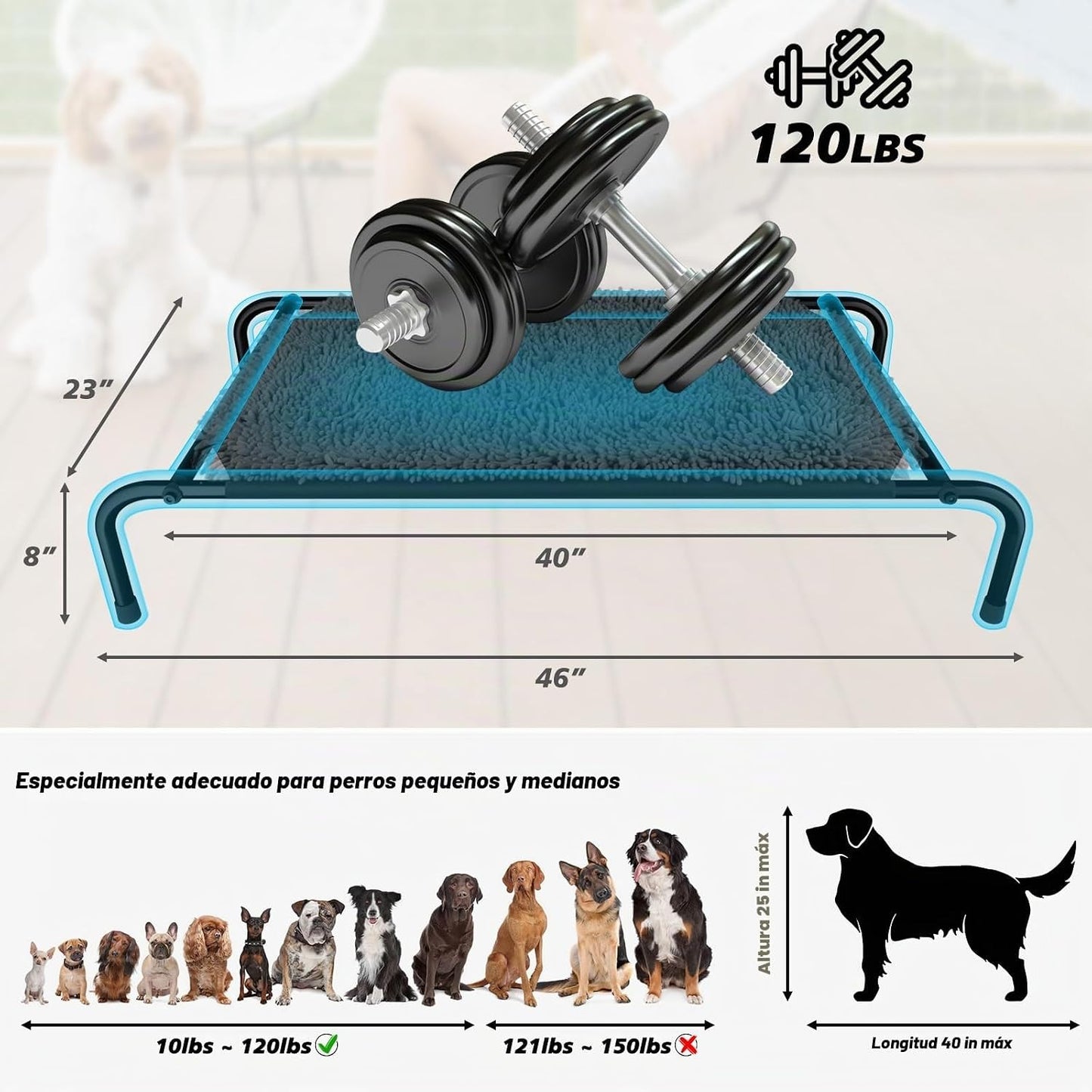 Rundik Cama Elevada para Perros con Función de Alfombrilla Olfativa...
