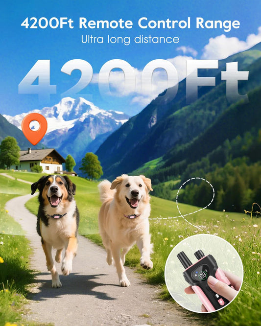 SLOPEHILL Collar de choque para perros, collar de entrenamiento par...