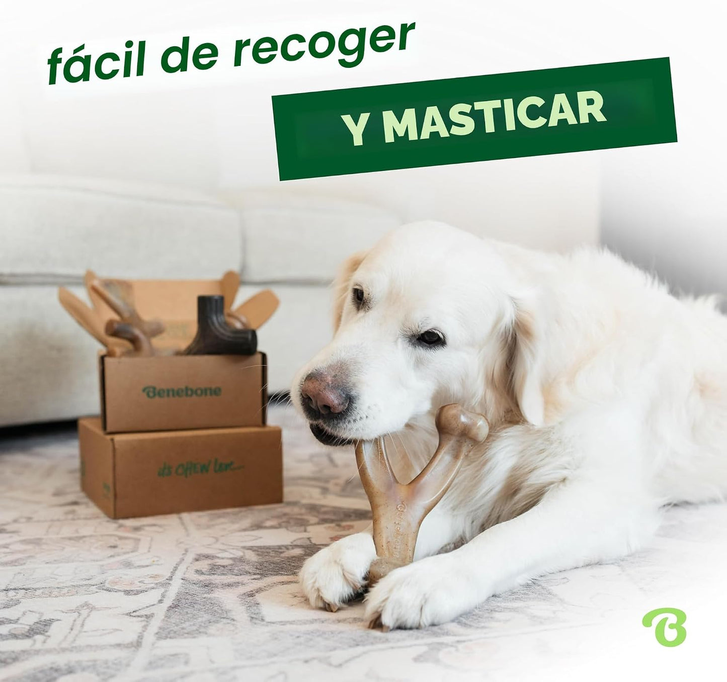Benebone Paquete de 4 juguetes grandes para perros para masticadore...
